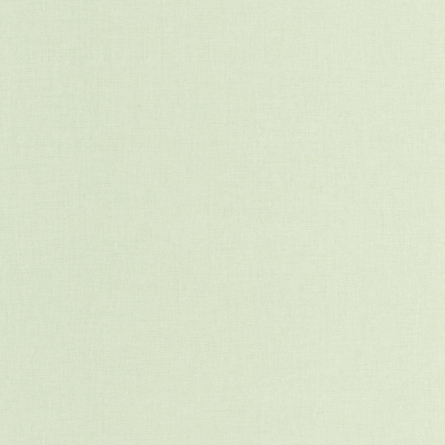 Uni Mat Wallpaper - Vert D'eau - Caselio - 103227603 - Premier Wallcovering