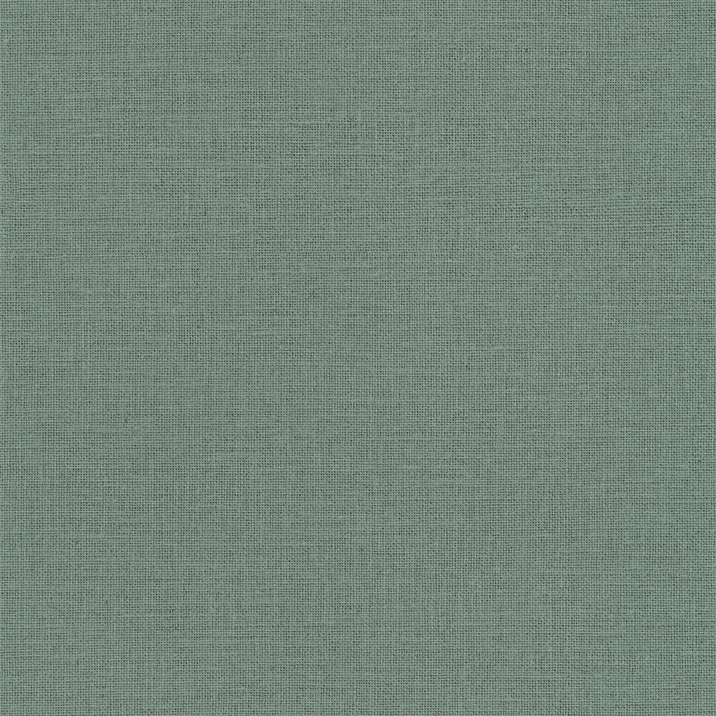 Uni Mat Wallpaper - Mousse - Caselio - 104017789 - Premier Wallcovering