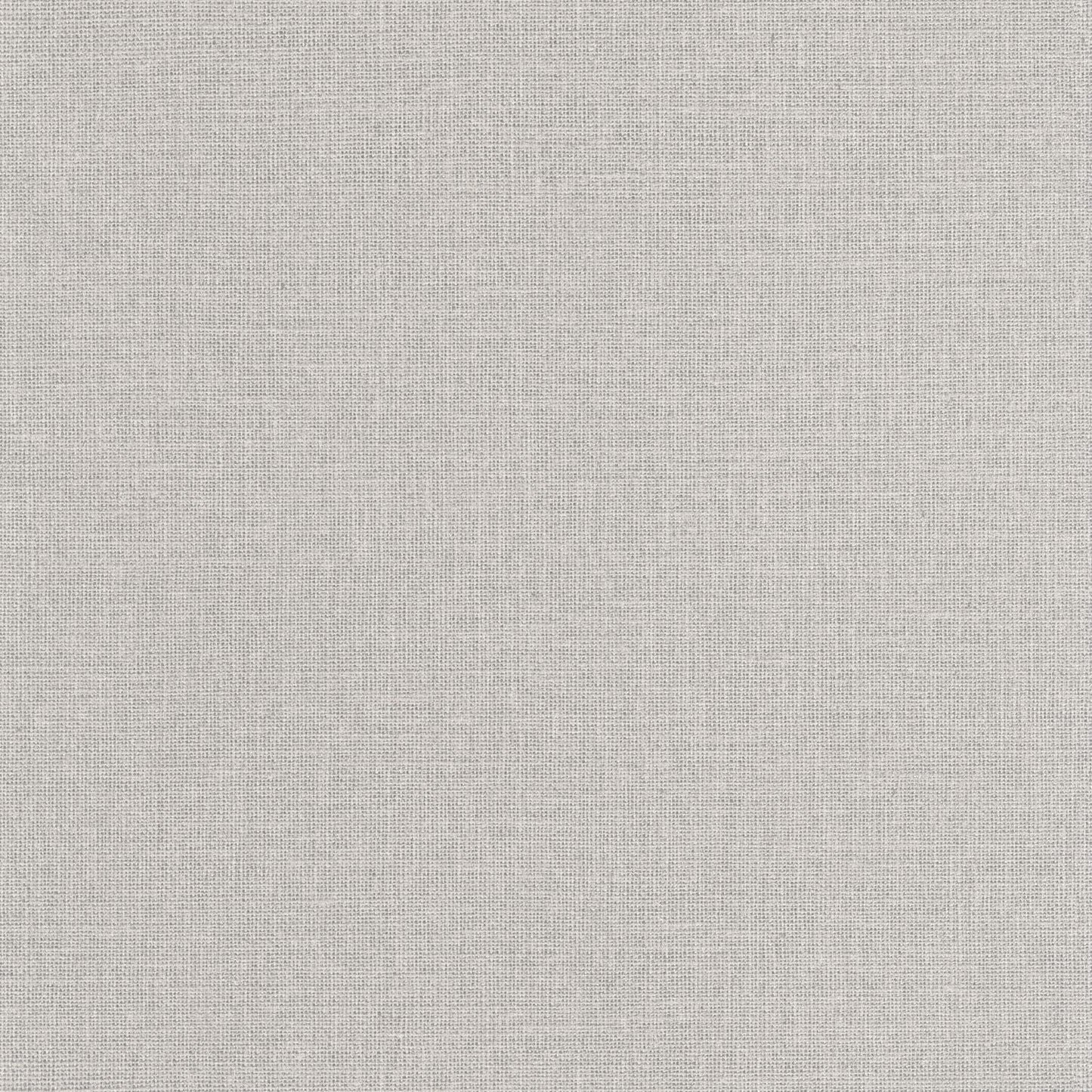 Uni Mat Wallpaper - Gris Clair - Caselio - 104019156 - Premier Wallcovering