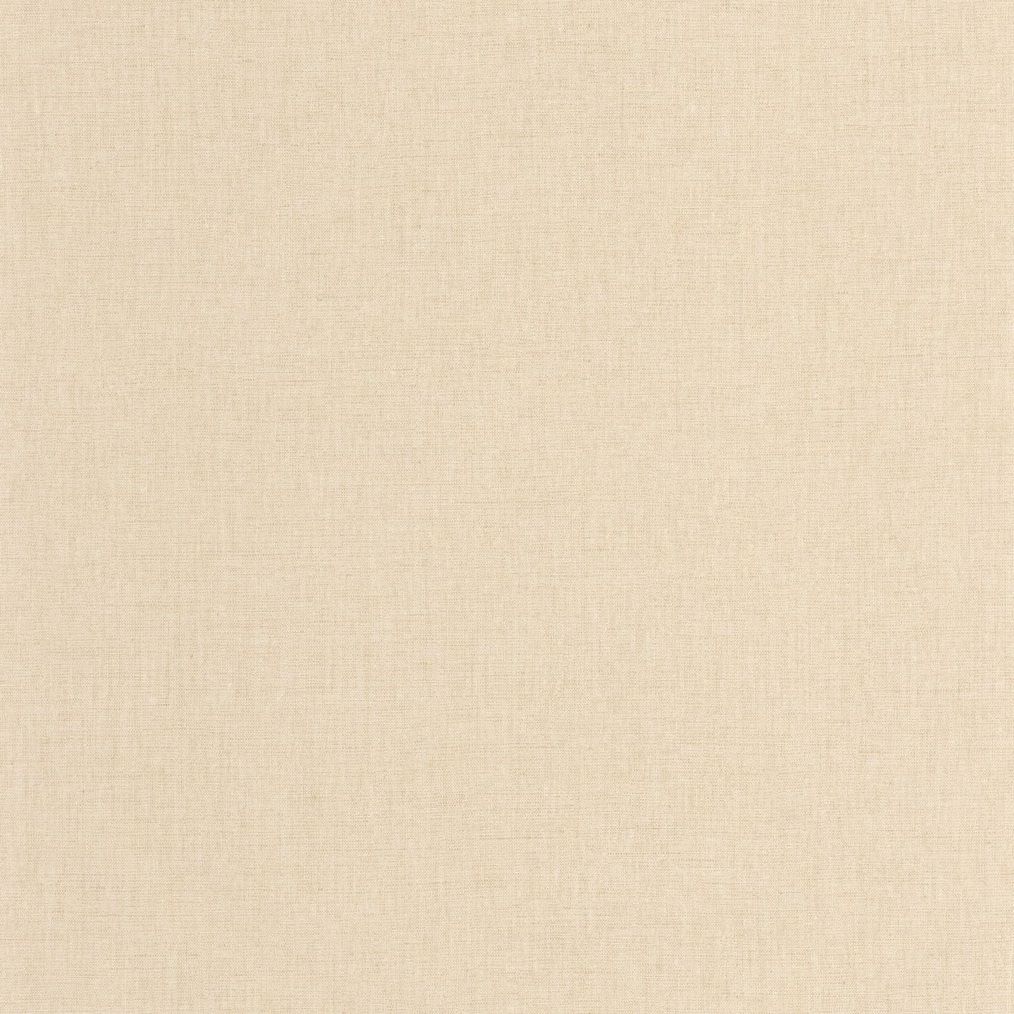 Uni Mat Wallpaper - Sable - Caselio - 103221619 - Premier Wallcovering