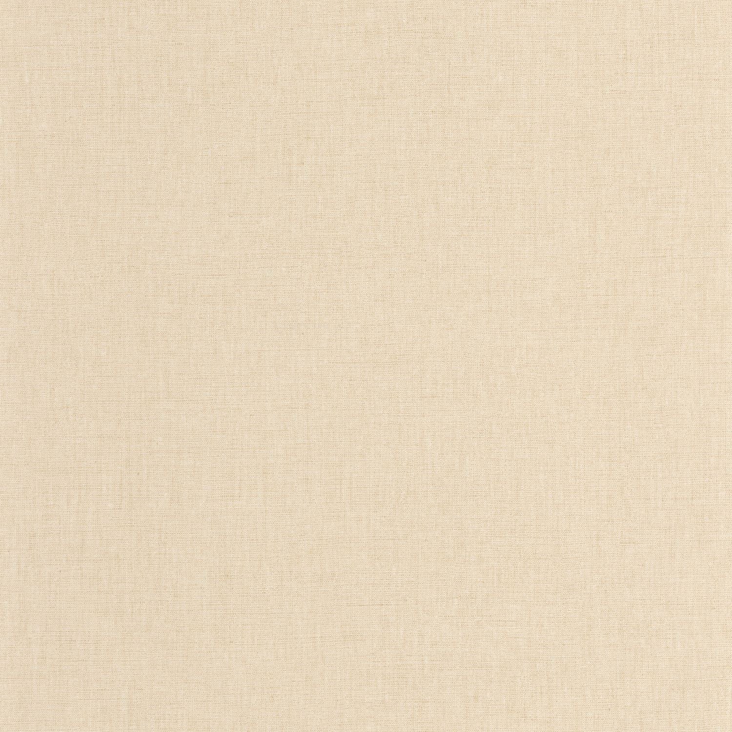 Uni Mat Wallpaper - Sable - Caselio - 103221619 - Premier Wallcovering