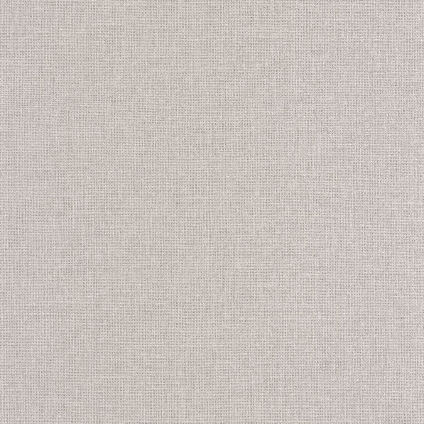 Uni Mat Wallpaper - Taupe Clair - Caselio - 104012425 - Premier Wallcovering