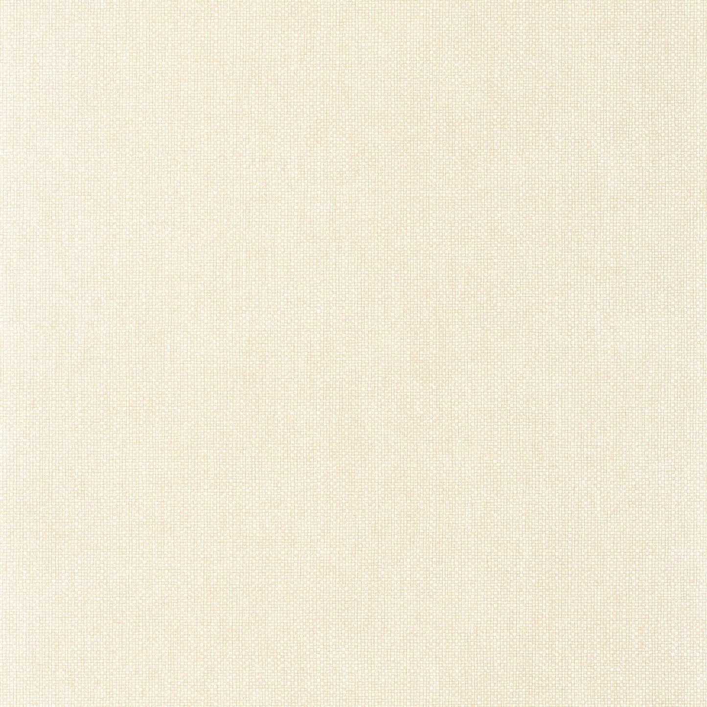 Uni Mat Wallpaper - Creme - Caselio - 104991153 - Premier Wallcovering