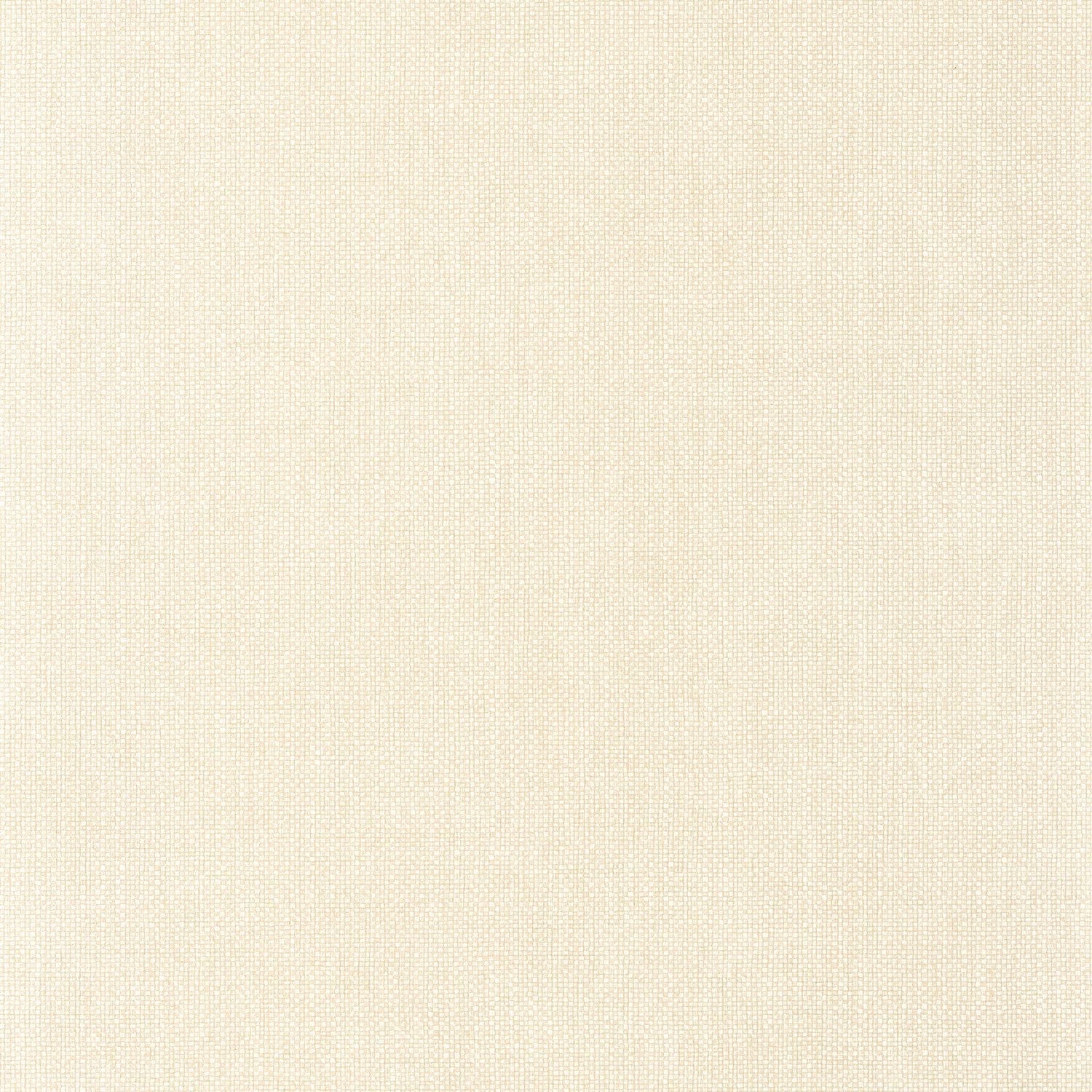 Uni Mat Wallpaper - Creme - Caselio - 104991153 - Premier Wallcovering
