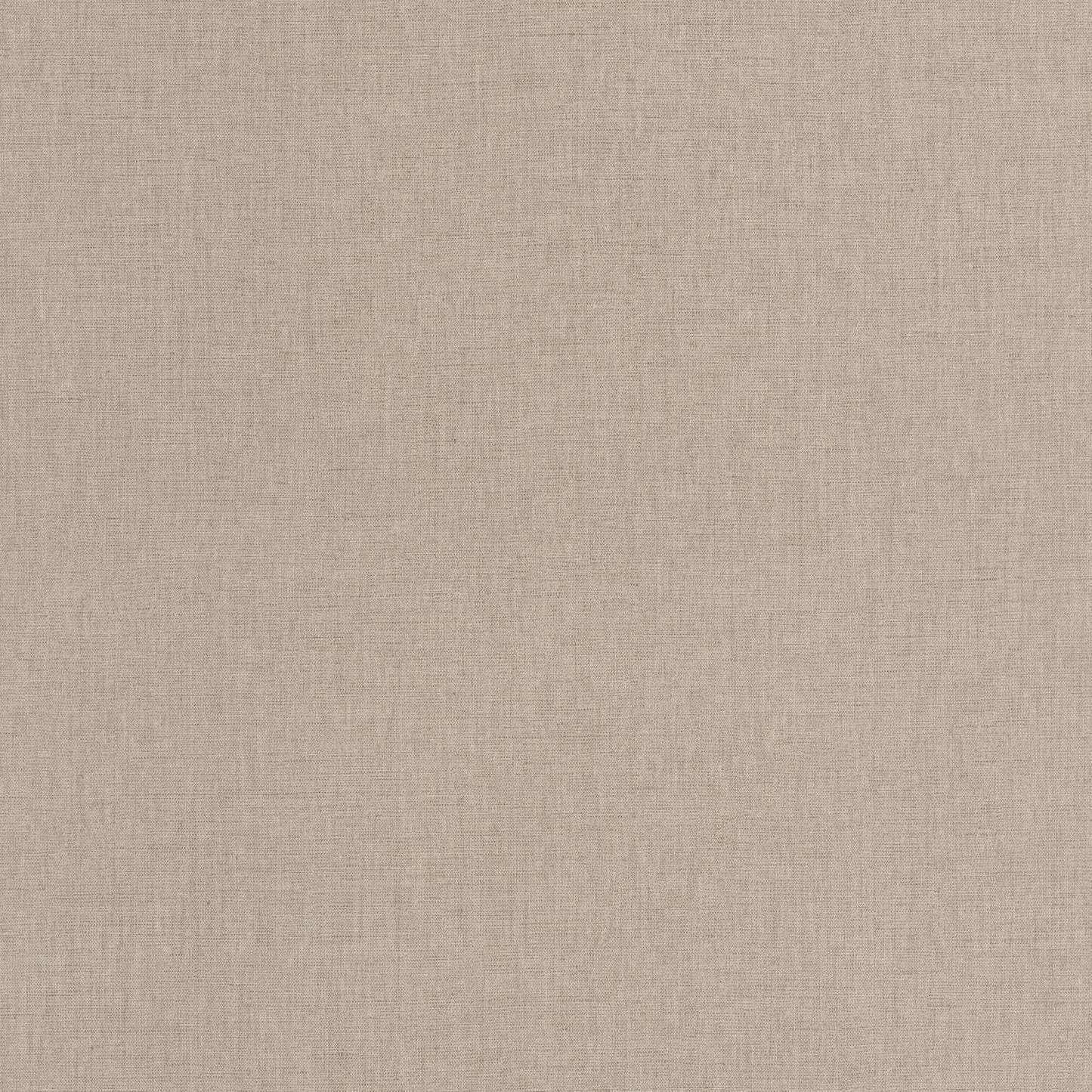 Uni Mat Wallpaper - Chataigne - Caselio - 103221850 - Premier Wallcovering