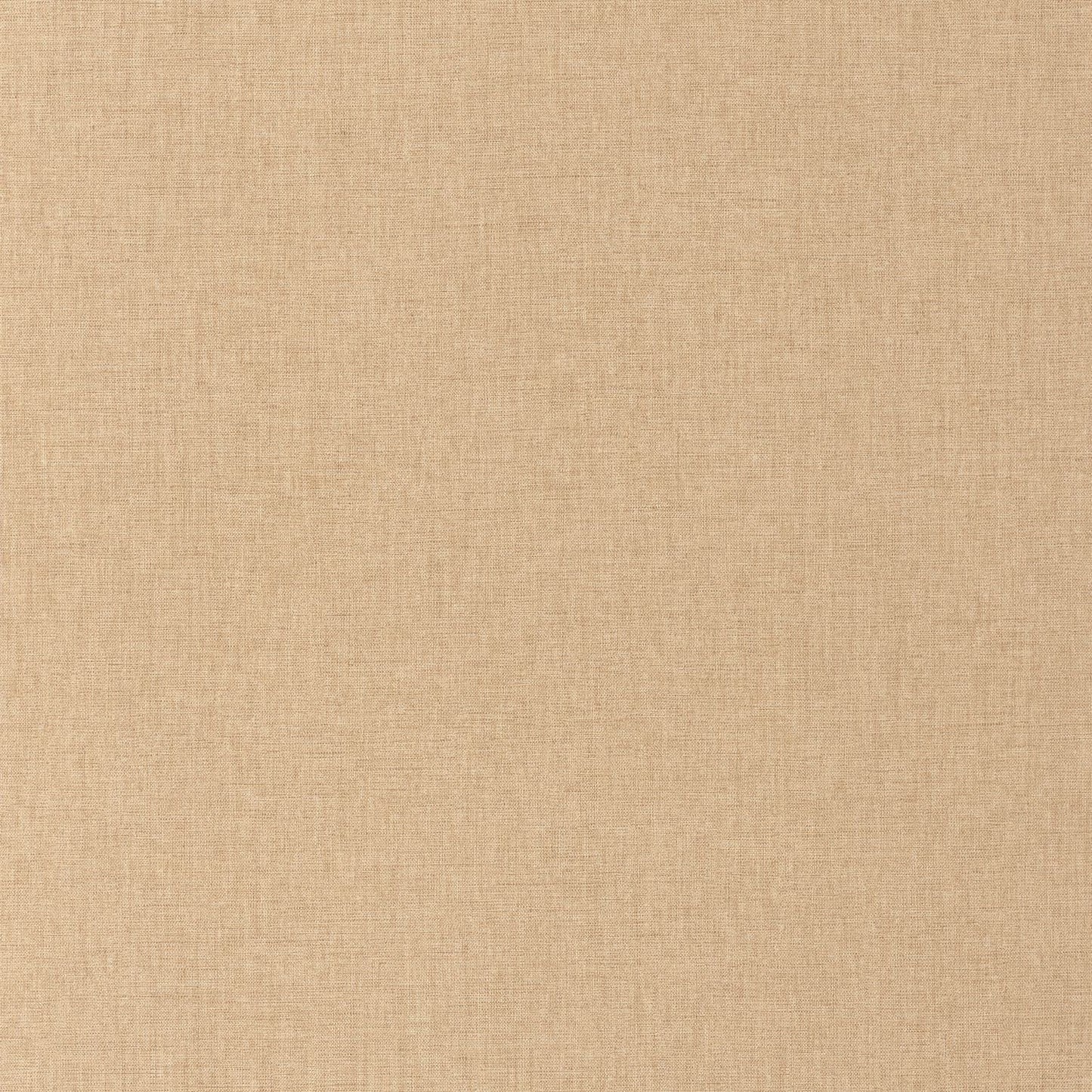 Uni Mat Wallpaper - Gazelle - Caselio - 103222620 - Premier Wallcovering