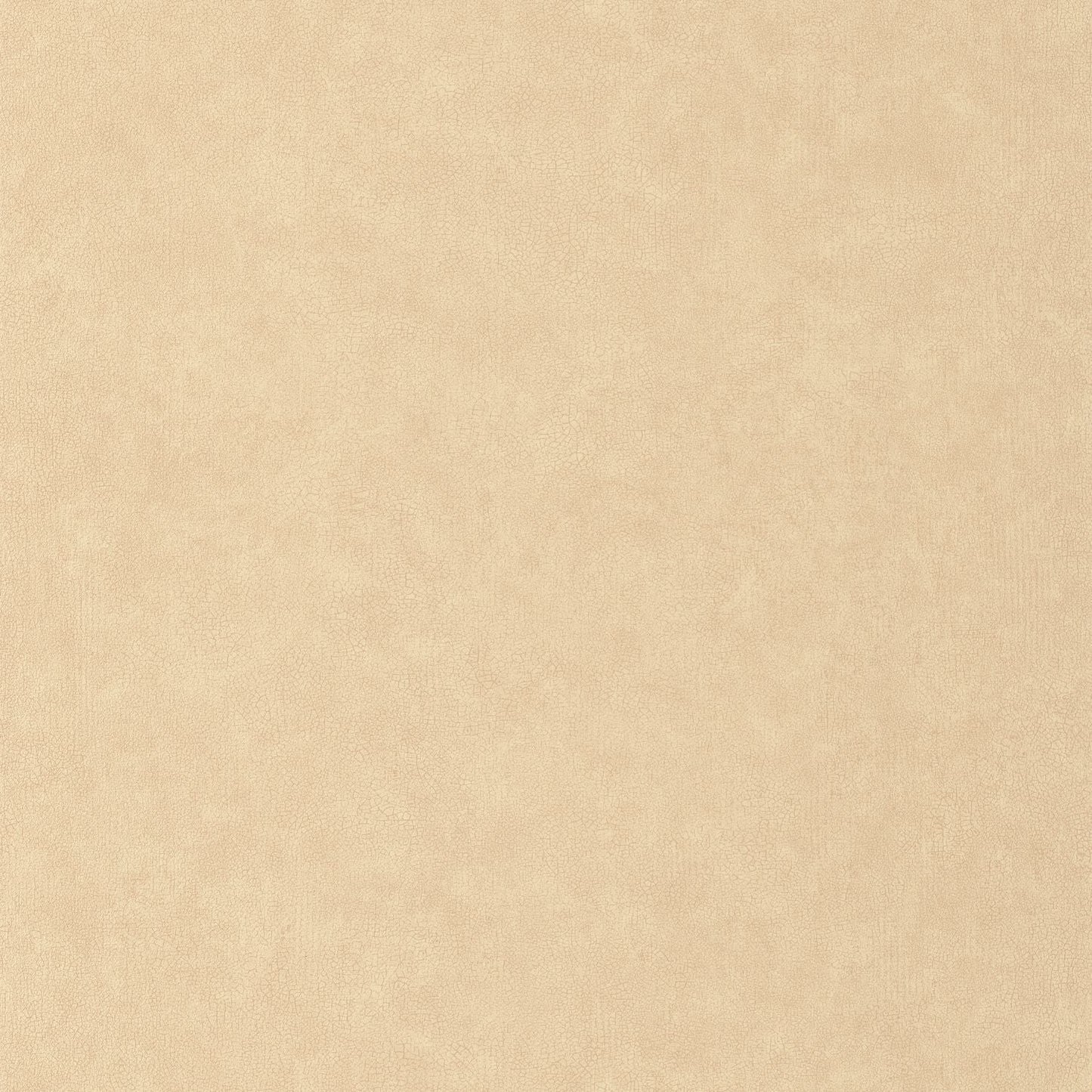 Uni Mat Wallpaper - Cappucino - Caselio - 105241223 - Premier Wallcovering