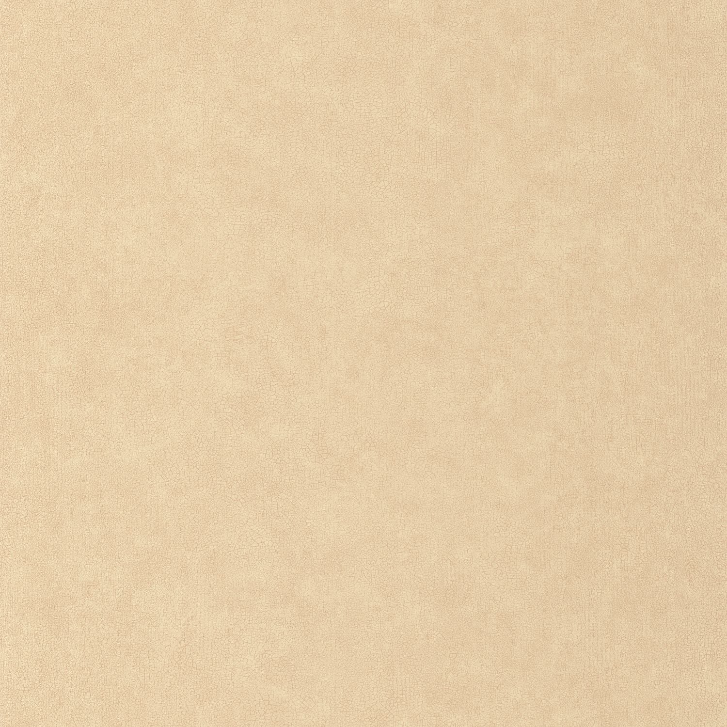 Uni Mat Wallpaper - Cappucino - Caselio - 105241223 - Premier Wallcovering