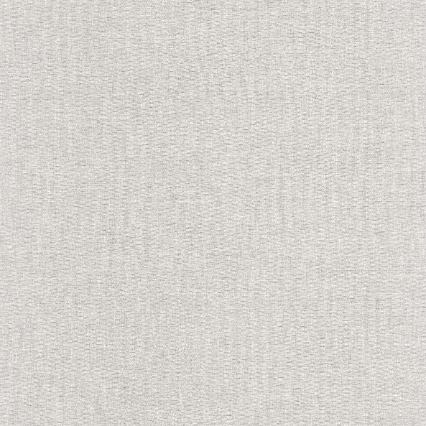 Uni Mat Wallpaper - Gris Etain - Caselio - 103229123 - Premier Wallcovering