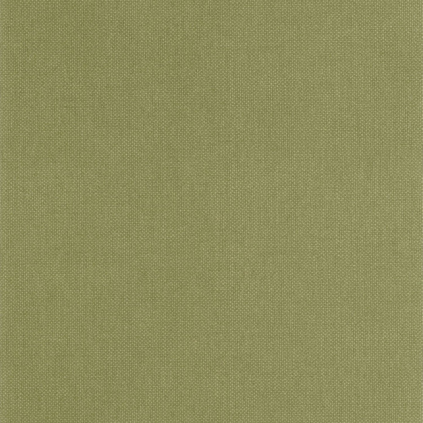 Uni Mat Wallpaper - Vert Kaki - Caselio - 104997414 - Premier Wallcovering