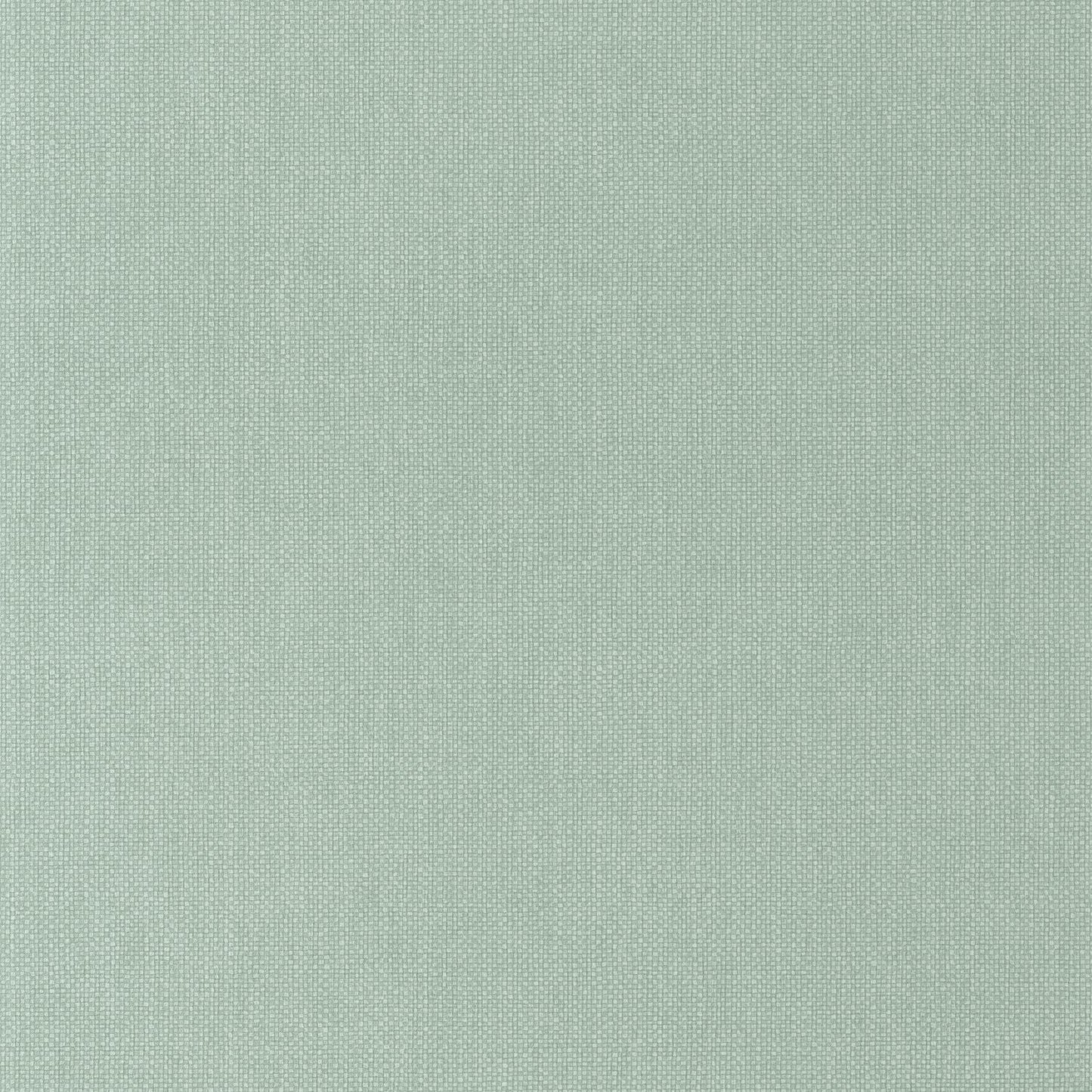 Uni Mat Wallpaper - Vert Celadon - Caselio - 104997134 - Premier Wallcovering
