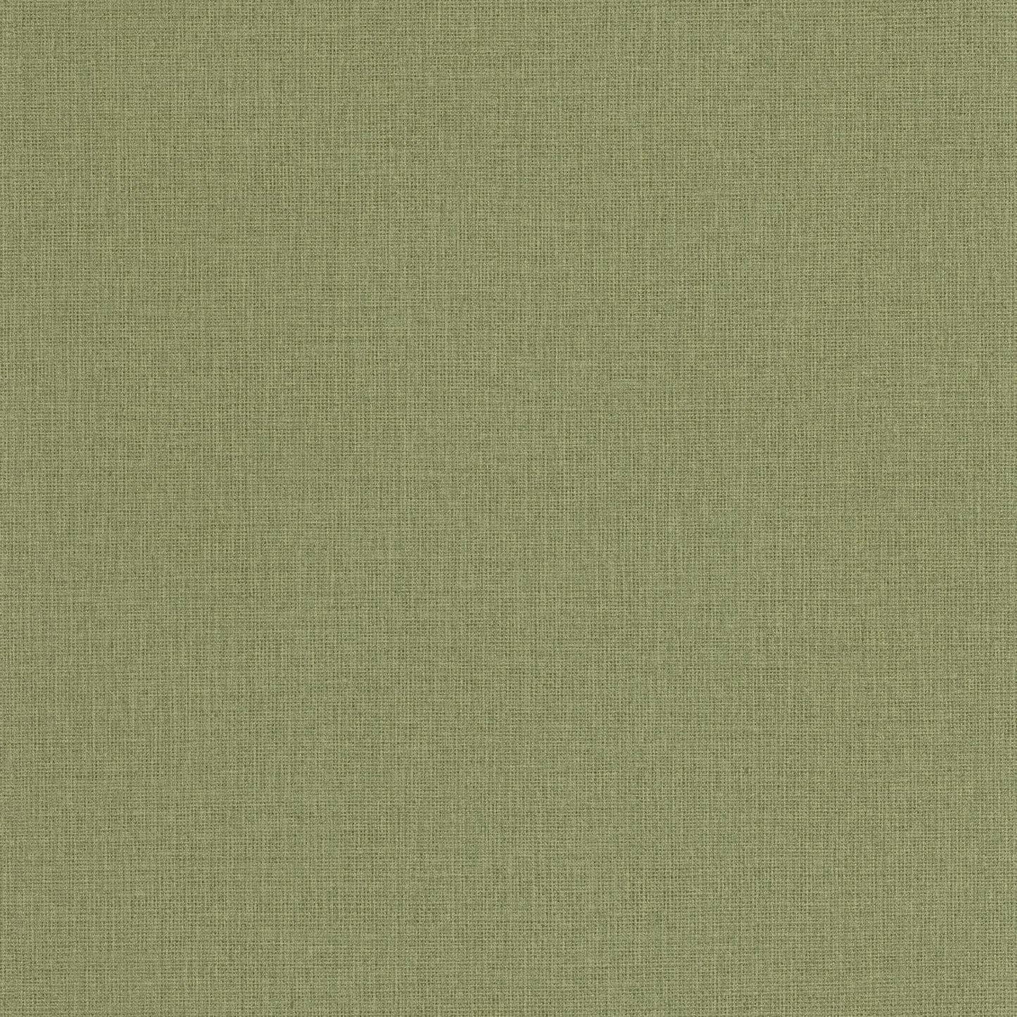 Uni Mat Wallpaper - Vert Kaki - Caselio - 104017951 - Premier Wallcovering