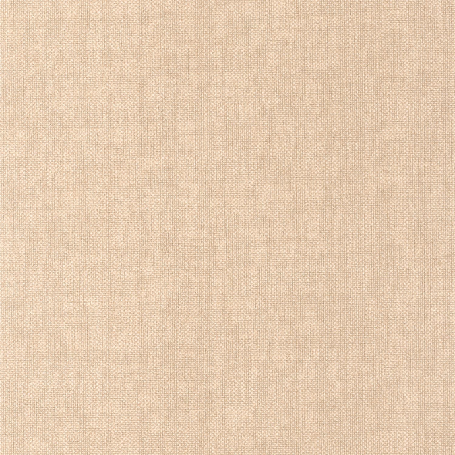 Uni Mat Wallpaper - Beige Pralin - Caselio - 104991560 - Premier Wallcovering