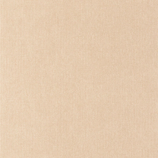 Uni Mat Wallpaper - Beige Pralin - Caselio - 104991560 - Premier Wallcovering