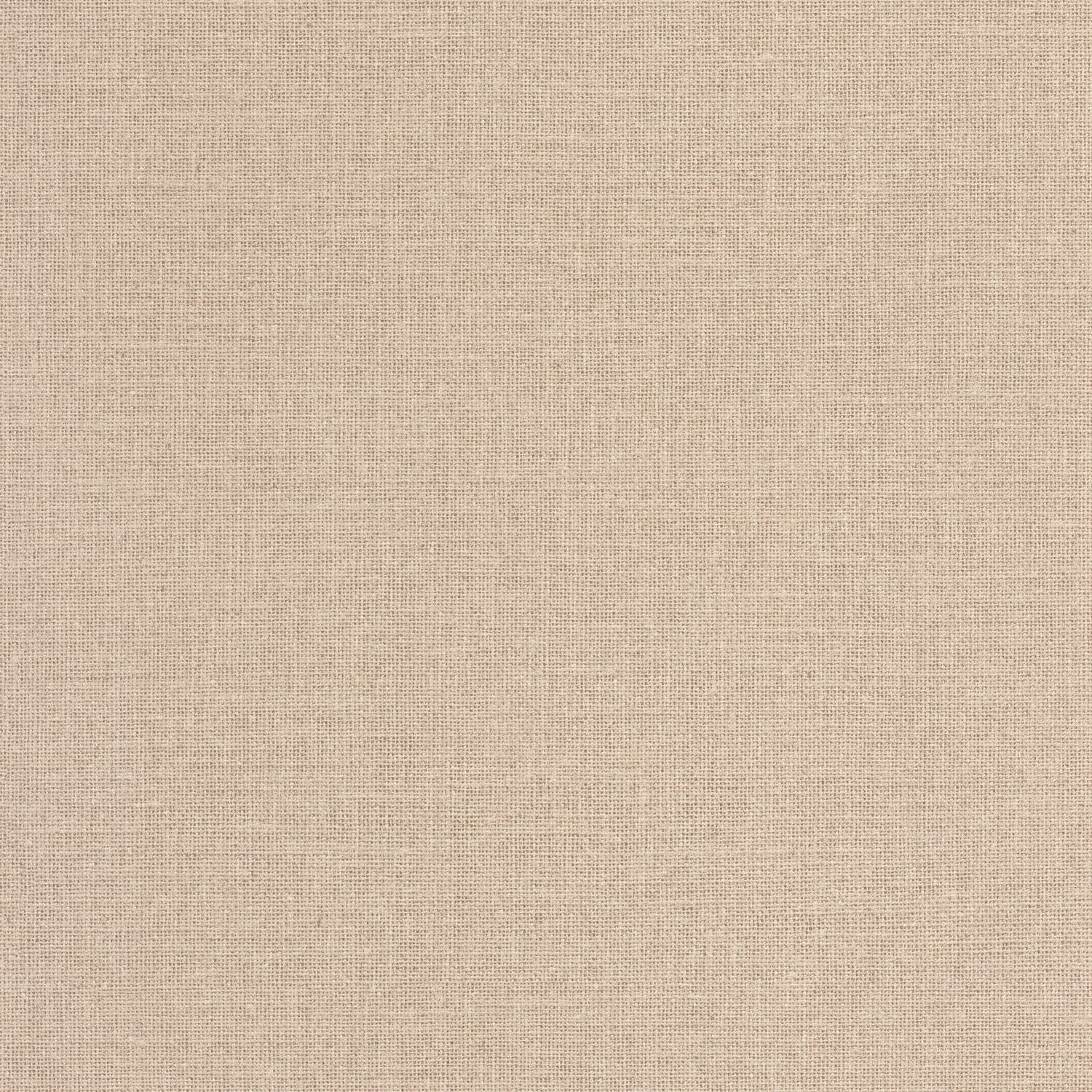 Uni Mat Wallpaper - Camomille - Caselio - 104011555 - Premier Wallcovering