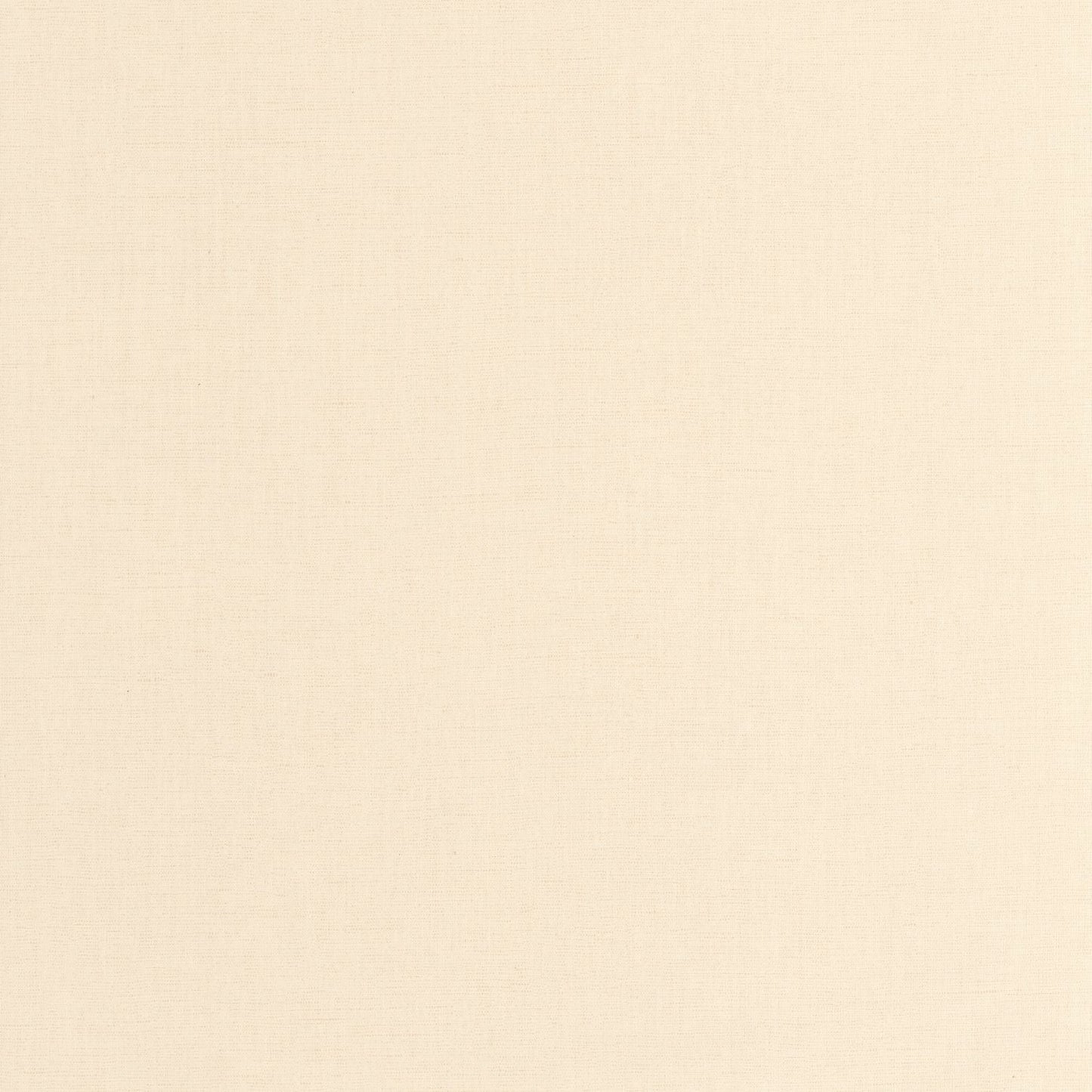 Uni Mat Wallpaper - Chanvre - Caselio - 103221498 - Premier Wallcovering