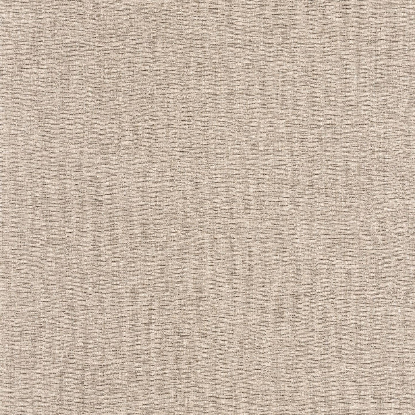 Uni Mat Wallpaper - Moka - Caselio - 103222369 - Premier Wallcovering