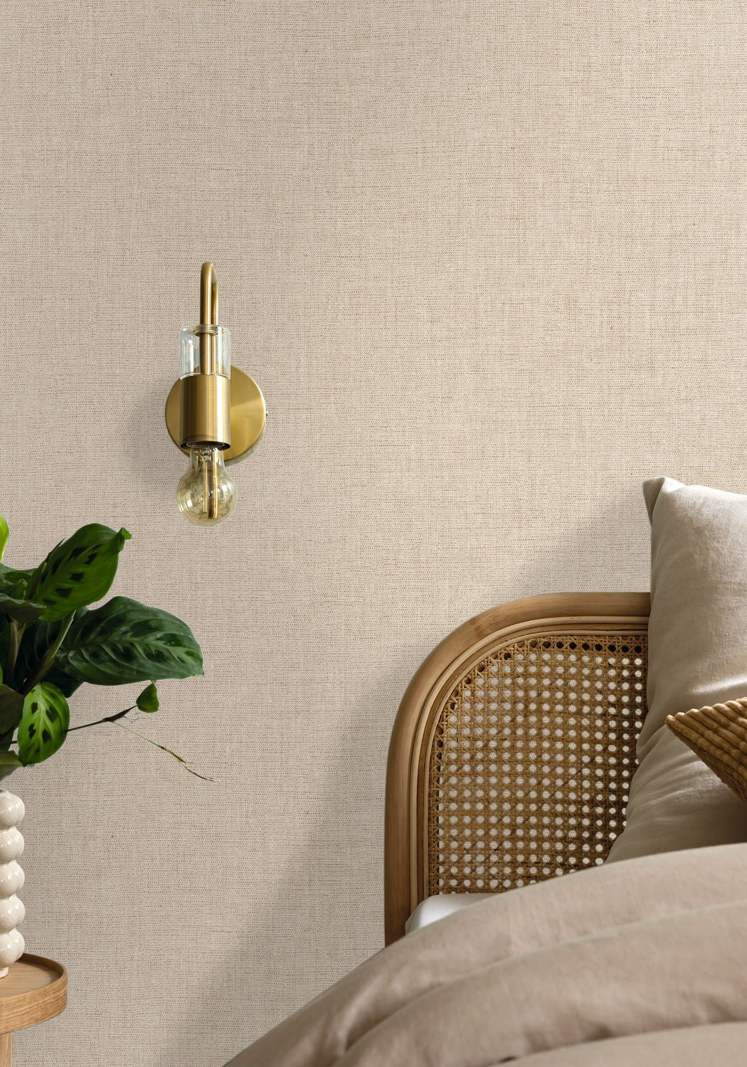 Uni Mat Wallpaper - Beige - Caselio - 103221720 - Premier Wallcovering