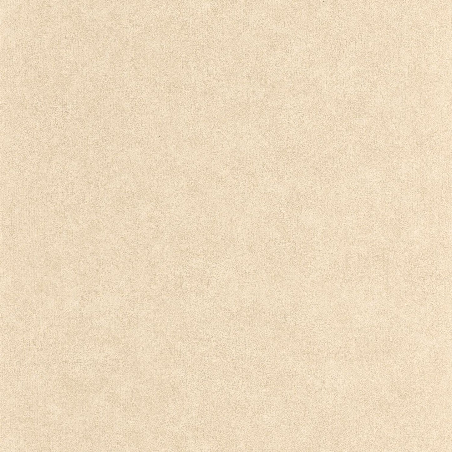 Uni Mat Wallpaper - Beige - Caselio - 105241844 - Premier Wallcovering