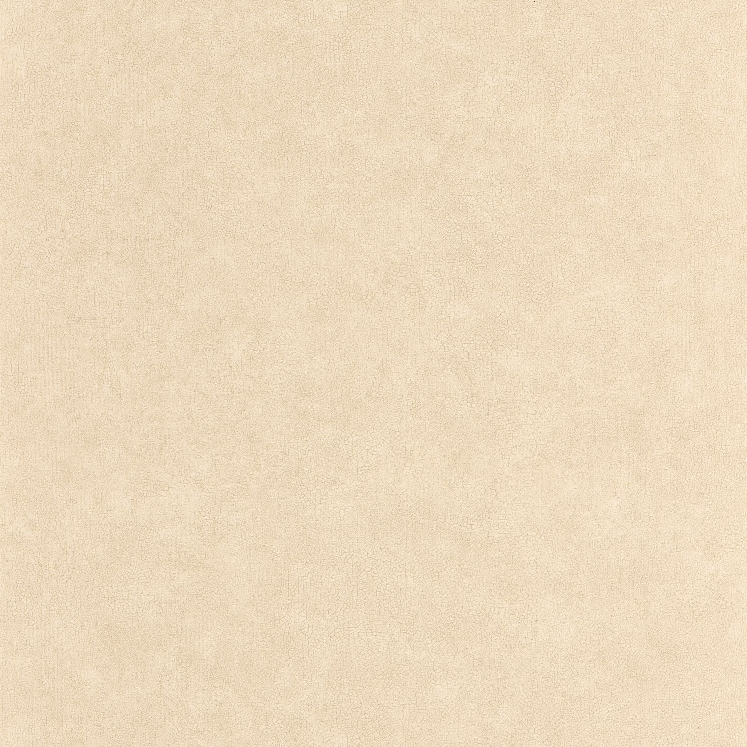 Uni Mat Wallpaper - Beige - Caselio - 105241844 - Premier Wallcovering