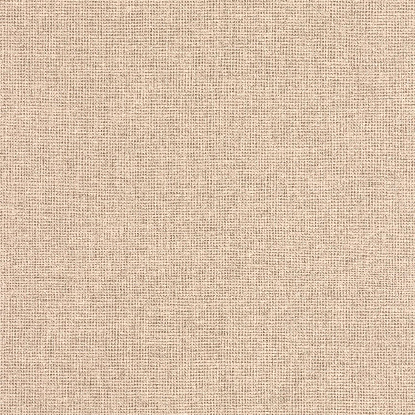 Uni Mat Wallpaper - Biscuit - Caselio - 104011474 - Premier Wallcovering