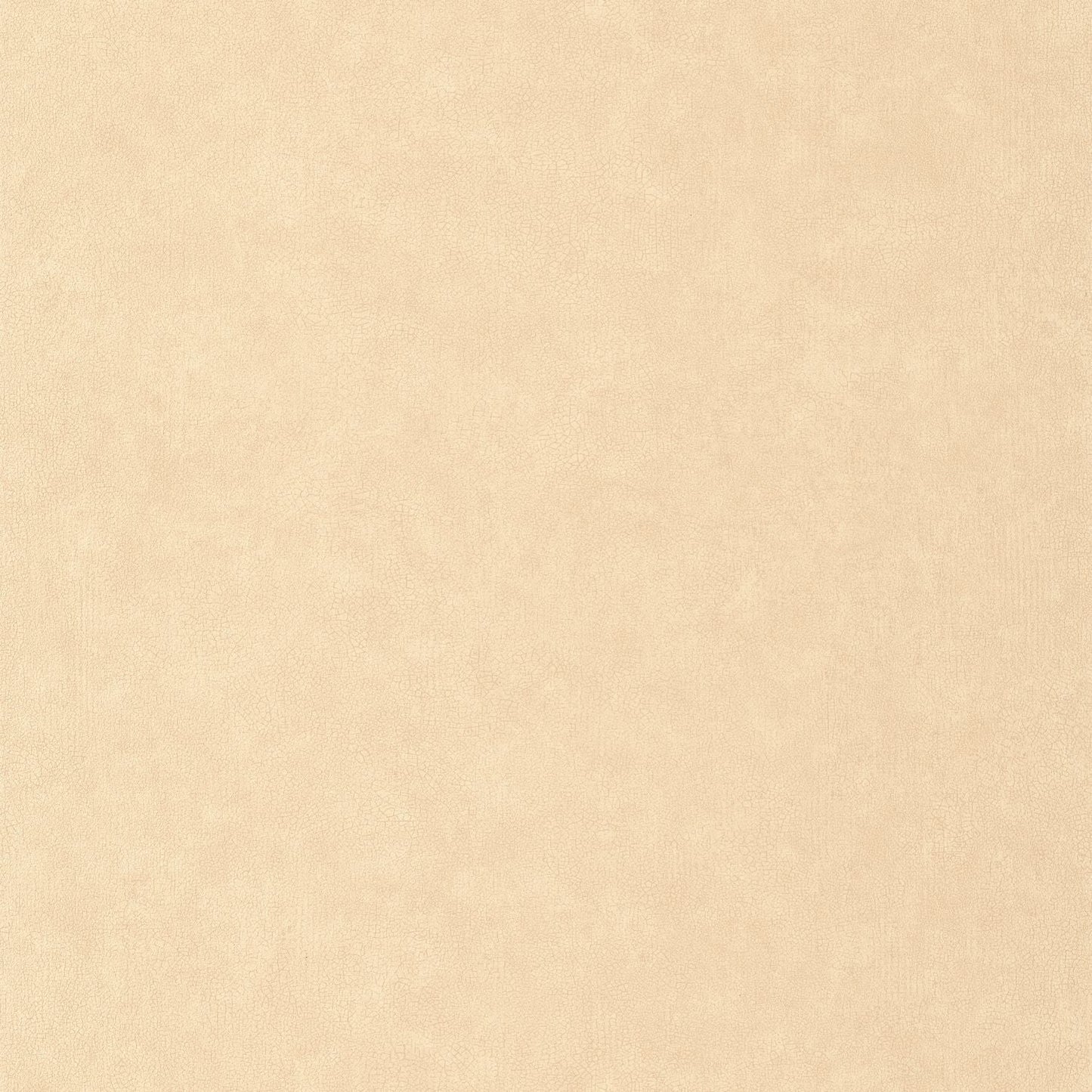 Uni Mat Wallpaper - Beige - Caselio - 105241515 - Premier Wallcovering