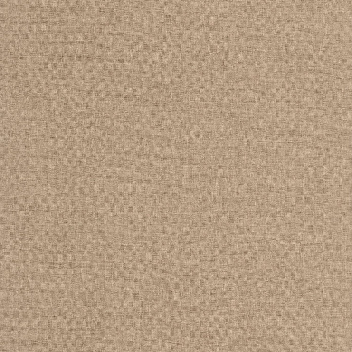 Uni Mat Wallpaper - Cappucino - Caselio - 103222560 - Premier Wallcovering