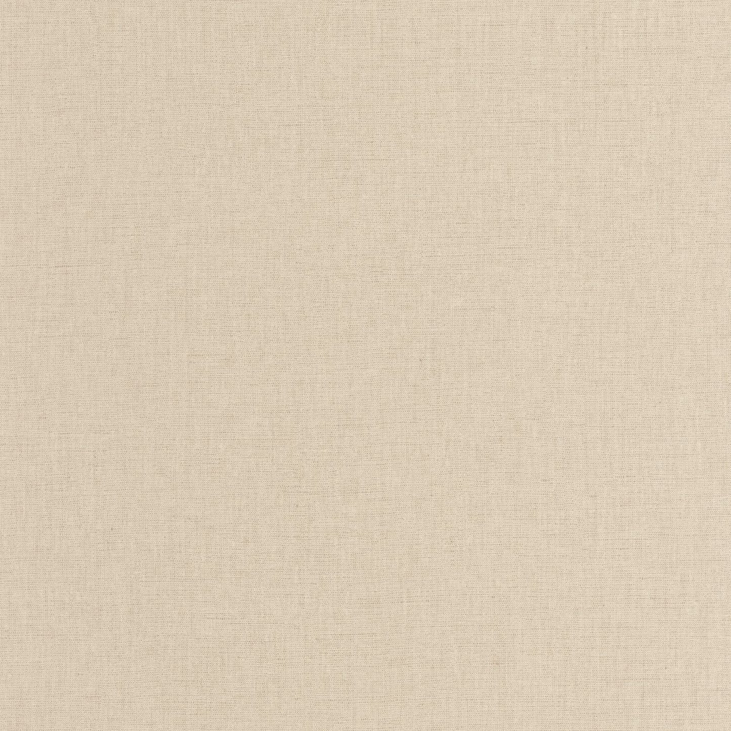 Uni Mat Wallpaper - Latte - Caselio - 103221415 - Premier Wallcovering