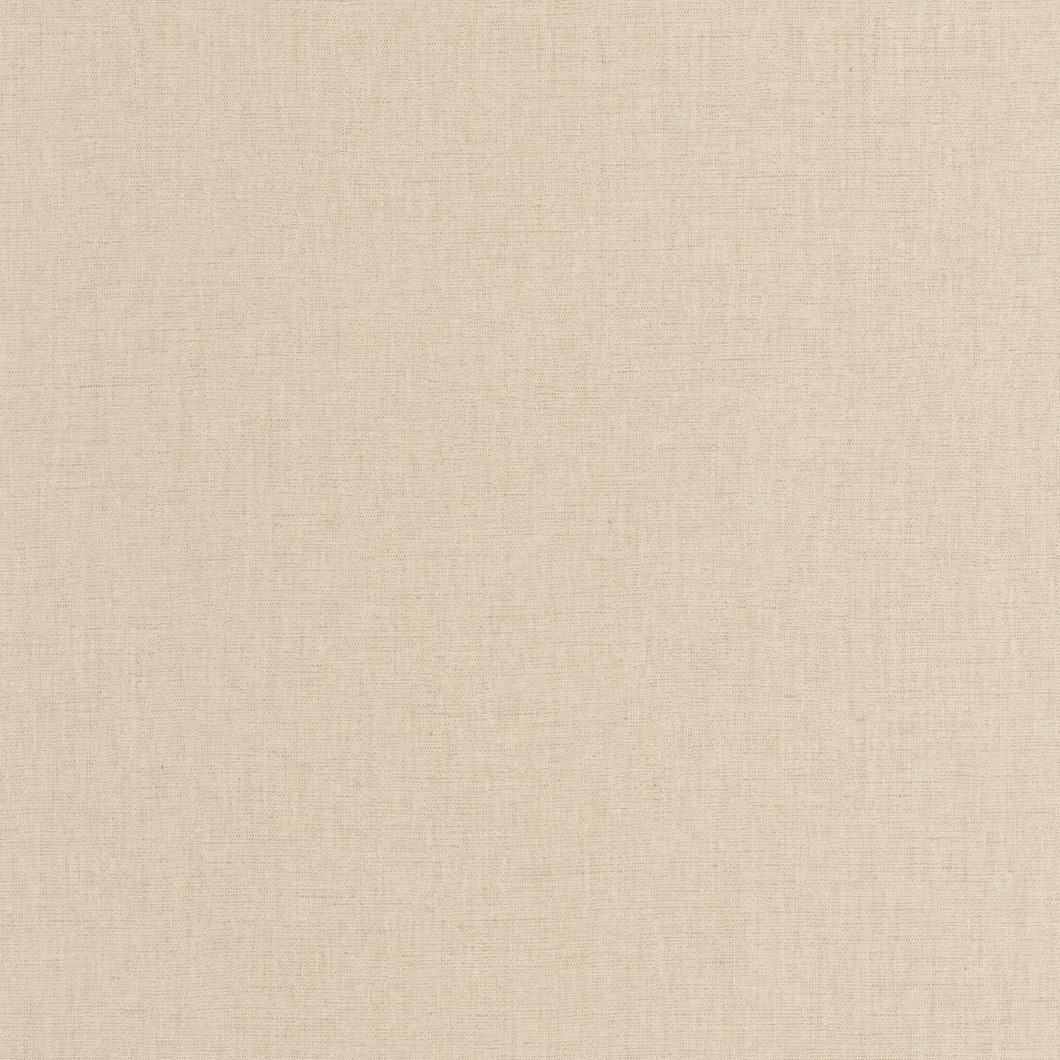 Uni Mat Wallpaper - Latte - Caselio - 103221415 - Premier Wallcovering