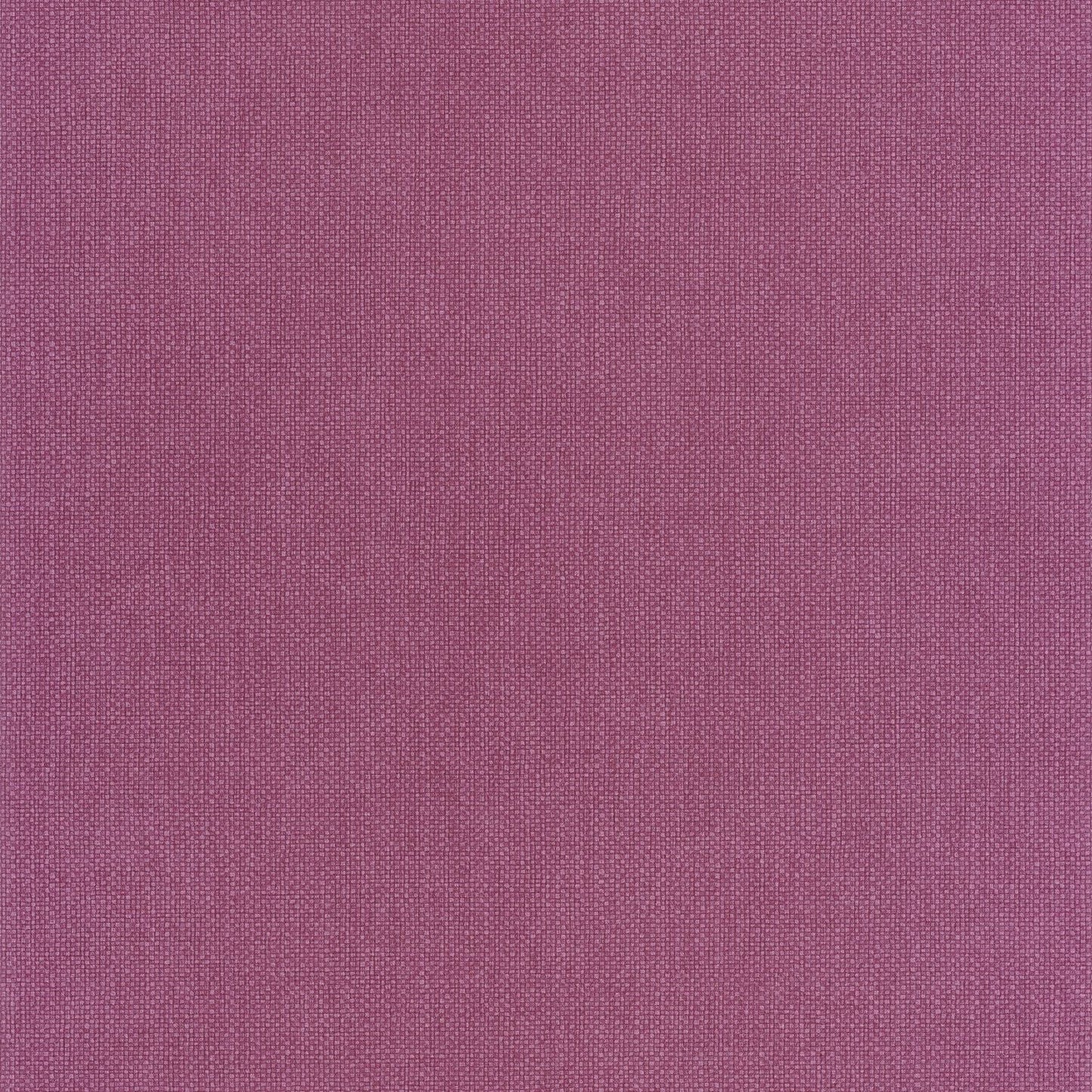 Uni Mat Wallpaper - Aubergine - Caselio - 104995056 - Premier Wallcovering