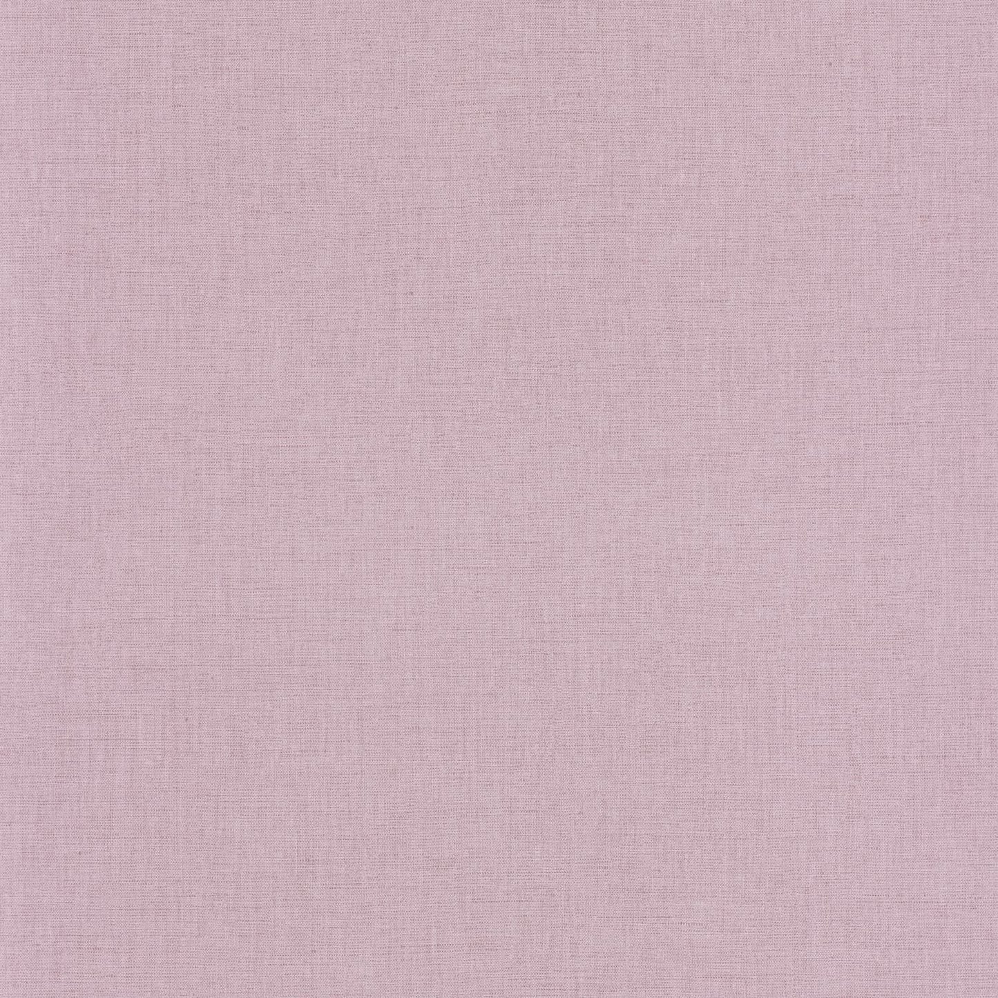 Uni Mat Wallpaper - Parme - Caselio - 103225022 - Premier Wallcovering