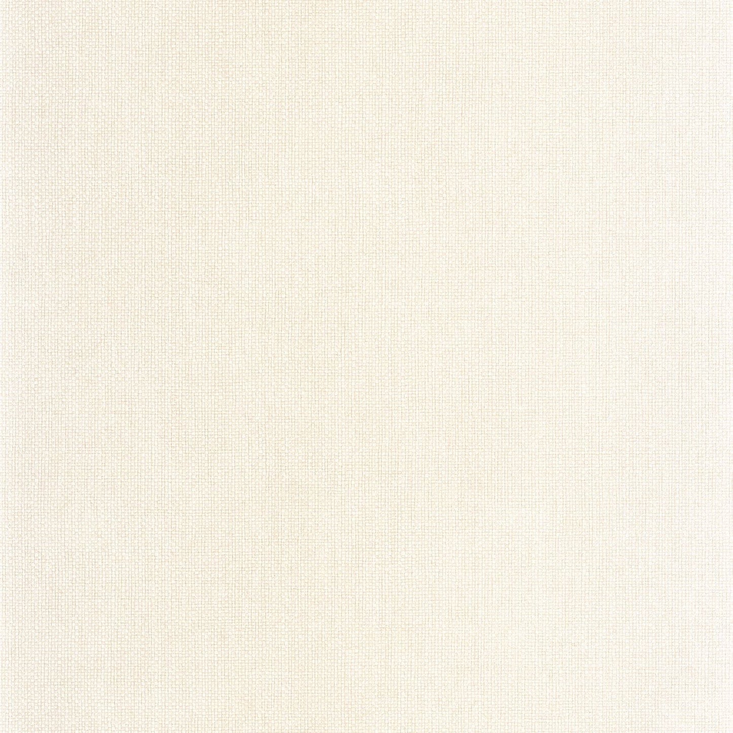 Uni Mat Wallpaper - Ivoire - Caselio - 104991800 - Premier Wallcovering