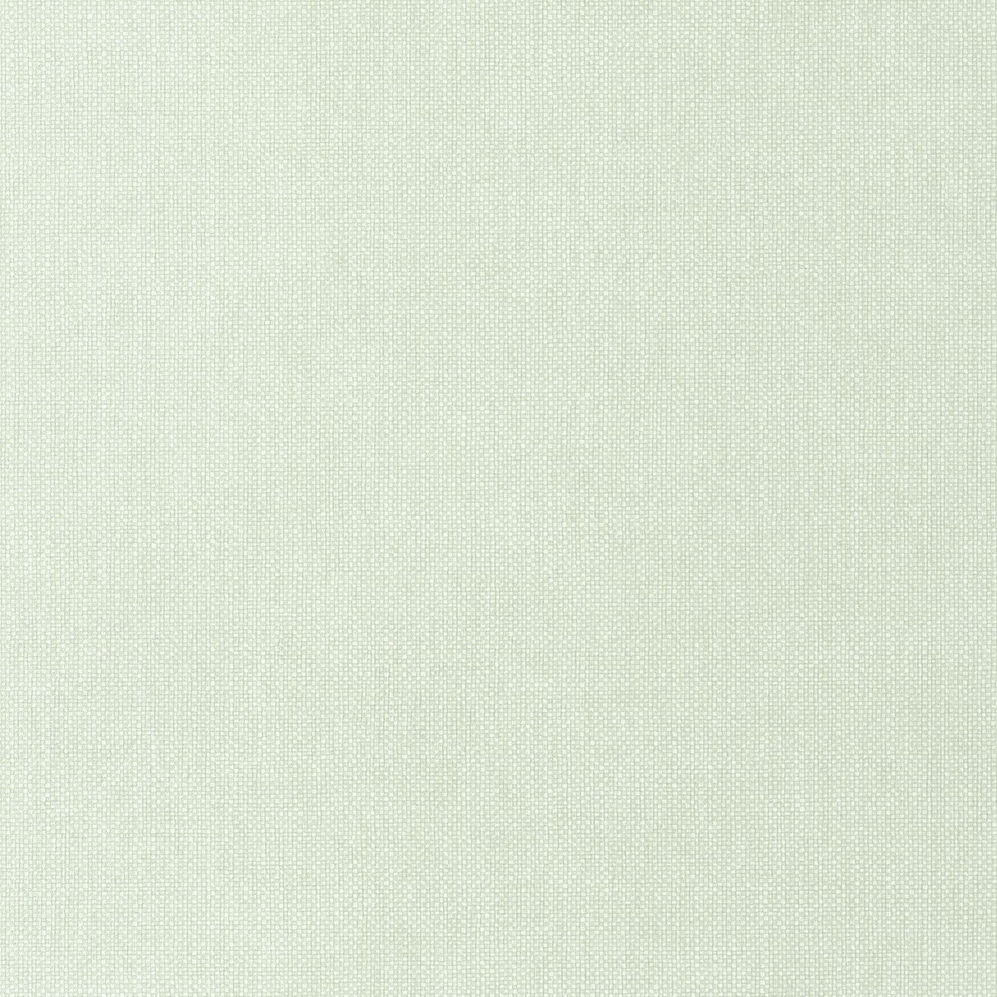 Uni Mat Wallpaper - Vert Amande - Caselio - 104997013 - Premier Wallcovering