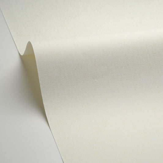 Uni Metallise/irise Wallpaper - Blanc - Caselio - 103230020 - Premier Wallcovering