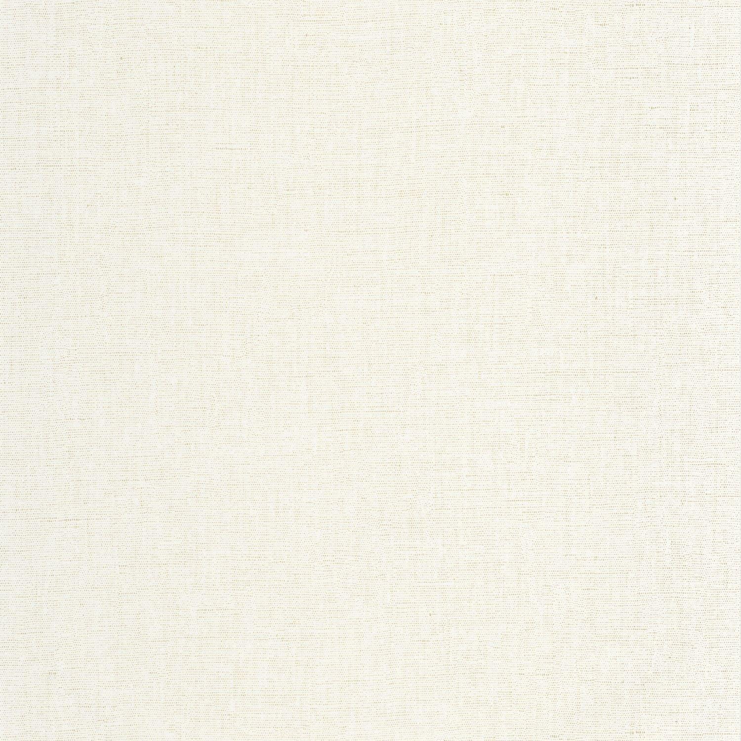 Uni Metallise/irise Wallpaper - Blanc - Caselio - 103230020 - Premier Wallcovering