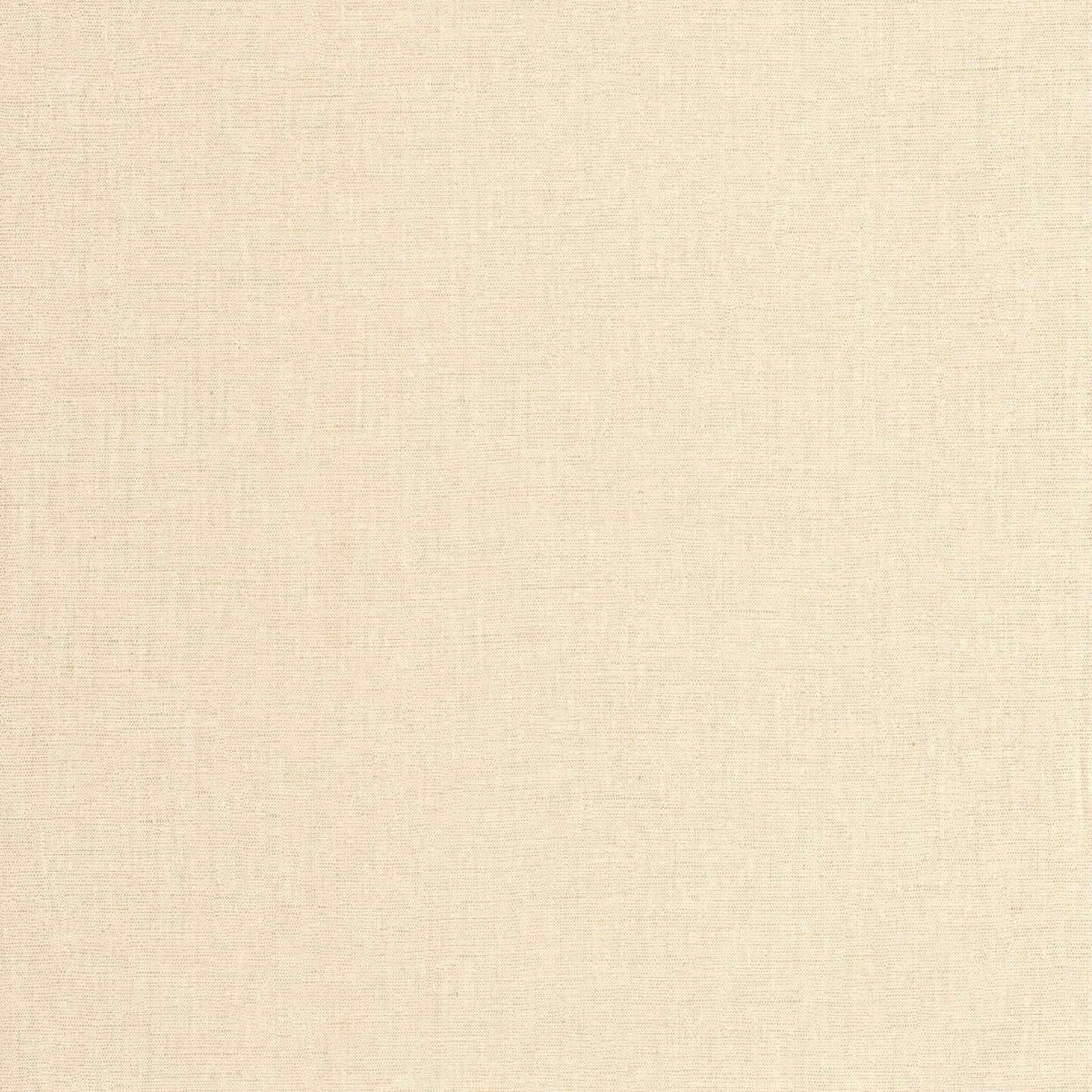 Uni Metallise/irise Wallpaper - Ecru - Caselio - 103231220 - Premier Wallcovering