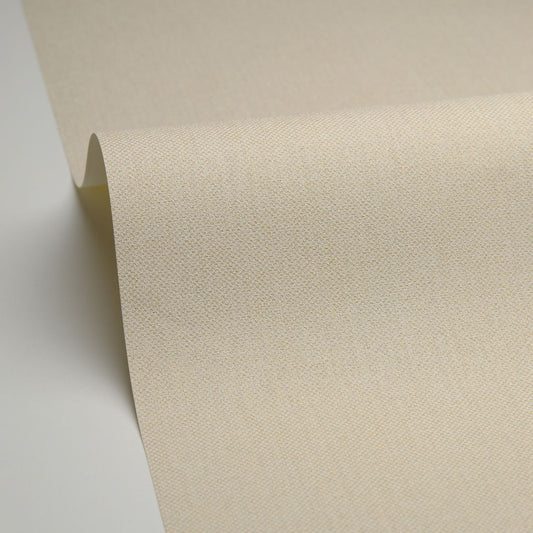 Uni Natte Metallises Wallpaper - Blanc - Caselio - 101570026 - Premier Wallcovering