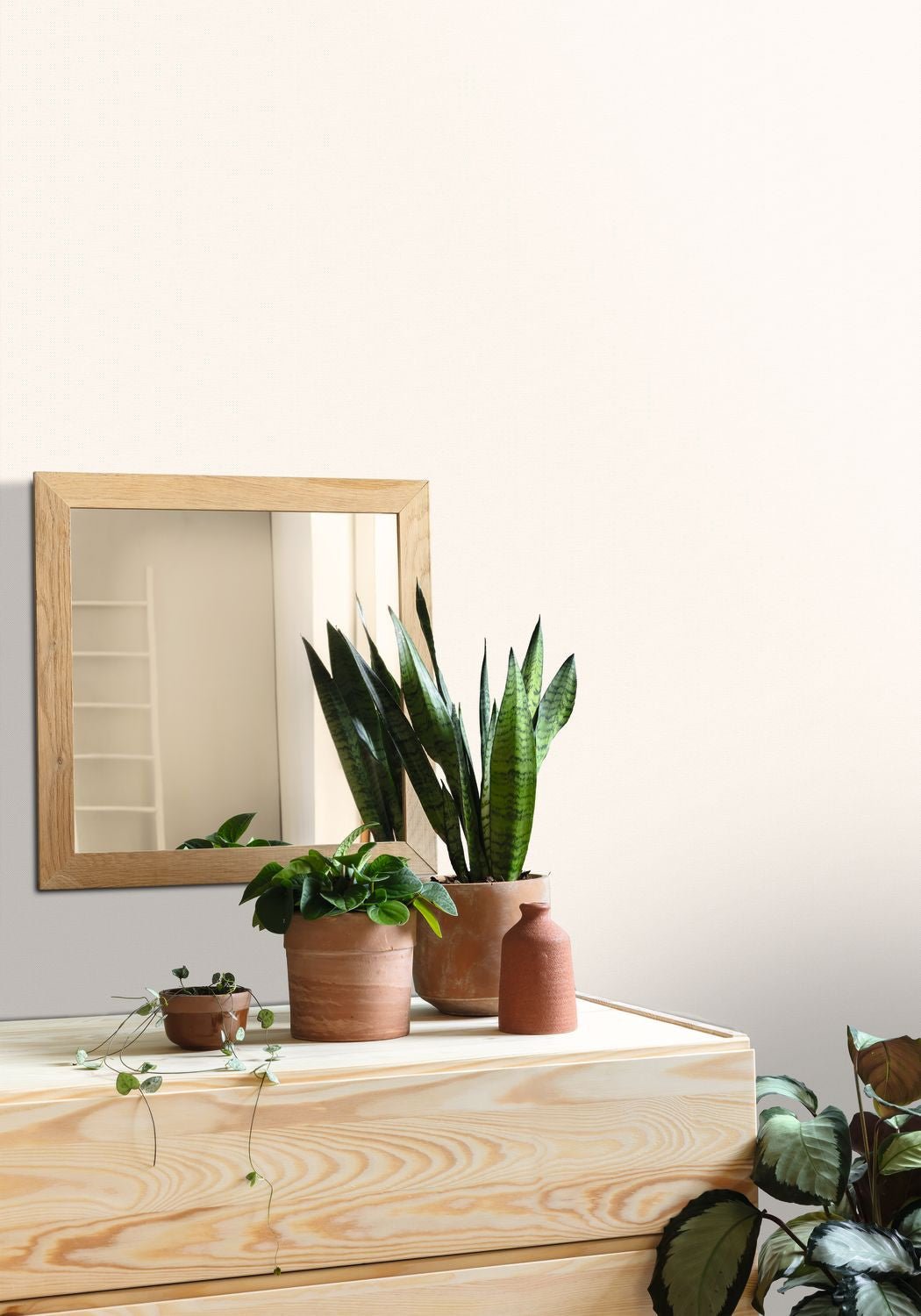 Uni Natte Wallpaper - Beige - Caselio - 101561210 - Premier Wallcovering