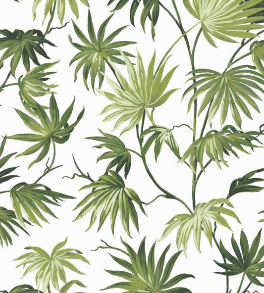 Va Va Frome Wallpaper - Meadow Green - Woodchip & Magnolia - WM - 225 - 06R - Premier Wallcovering