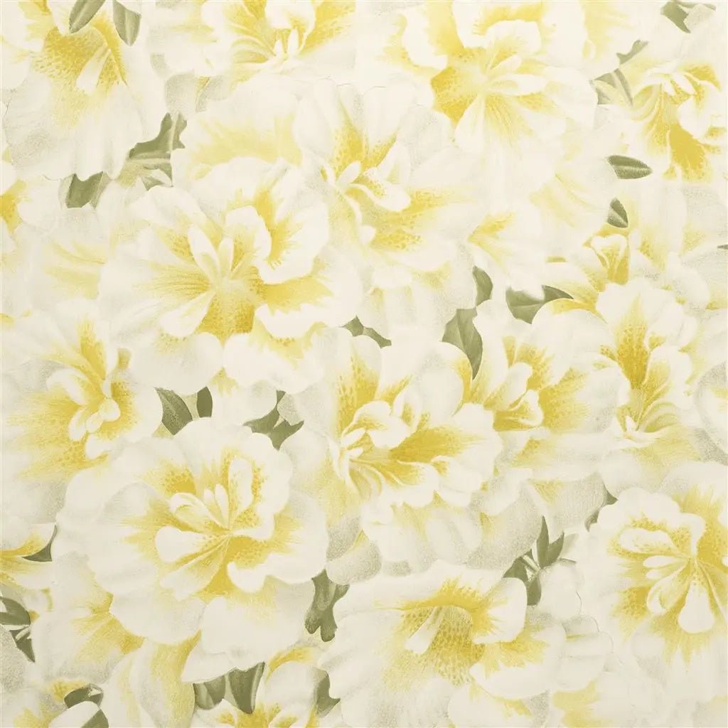 Variegated Azalea Wallpaper - Mimosa - John Derian - PJD6004/03 - Premier Wallcovering