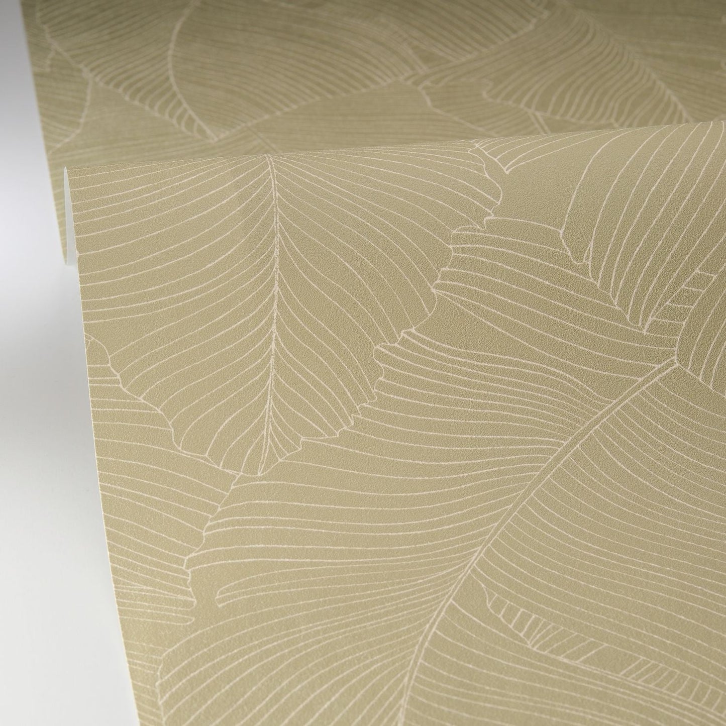 Vegetalia Wallpaper - Kaki - Caselio - 106507170 - Premier Wallcovering