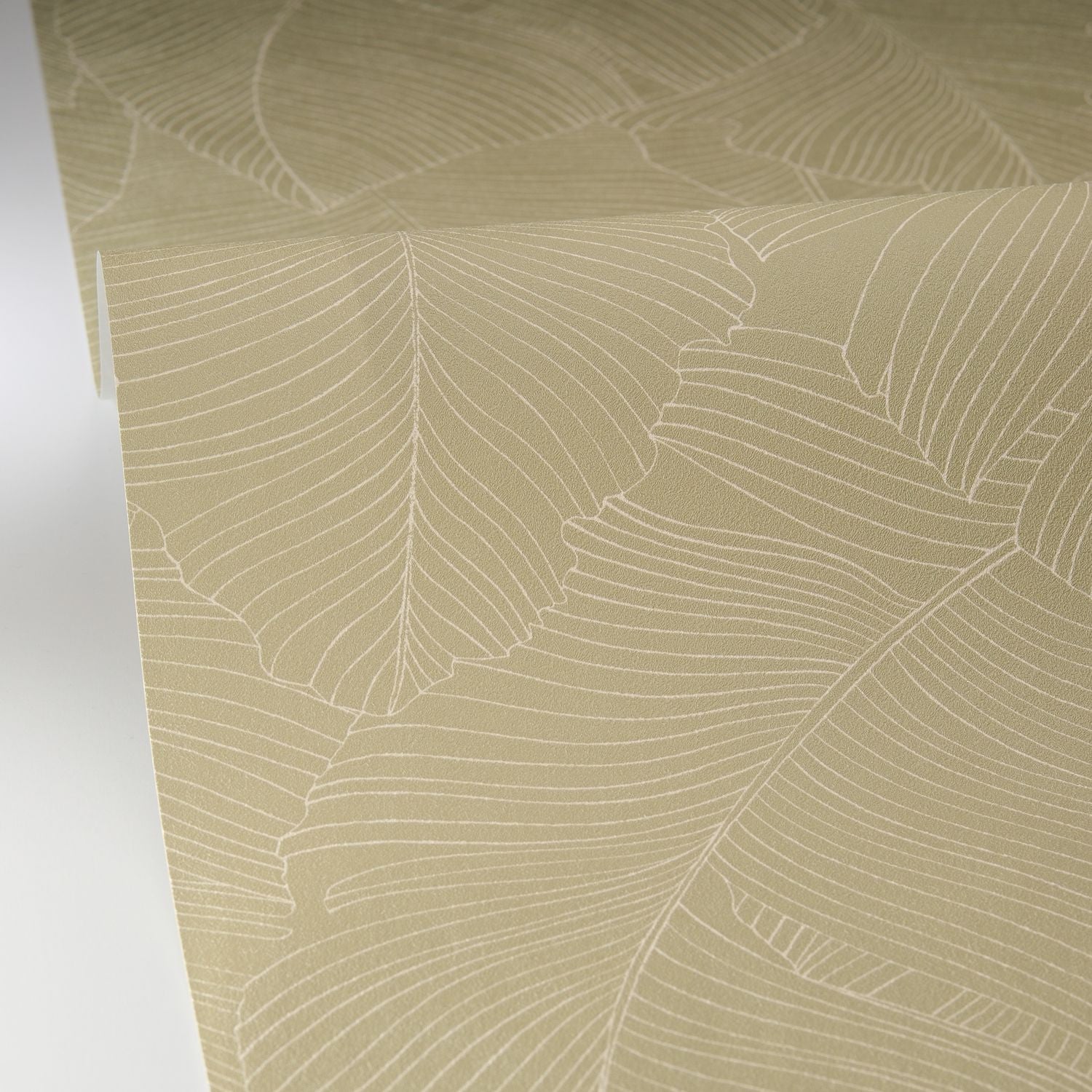 Vegetalia Wallpaper - Kaki - Caselio - 106507170 - Premier Wallcovering