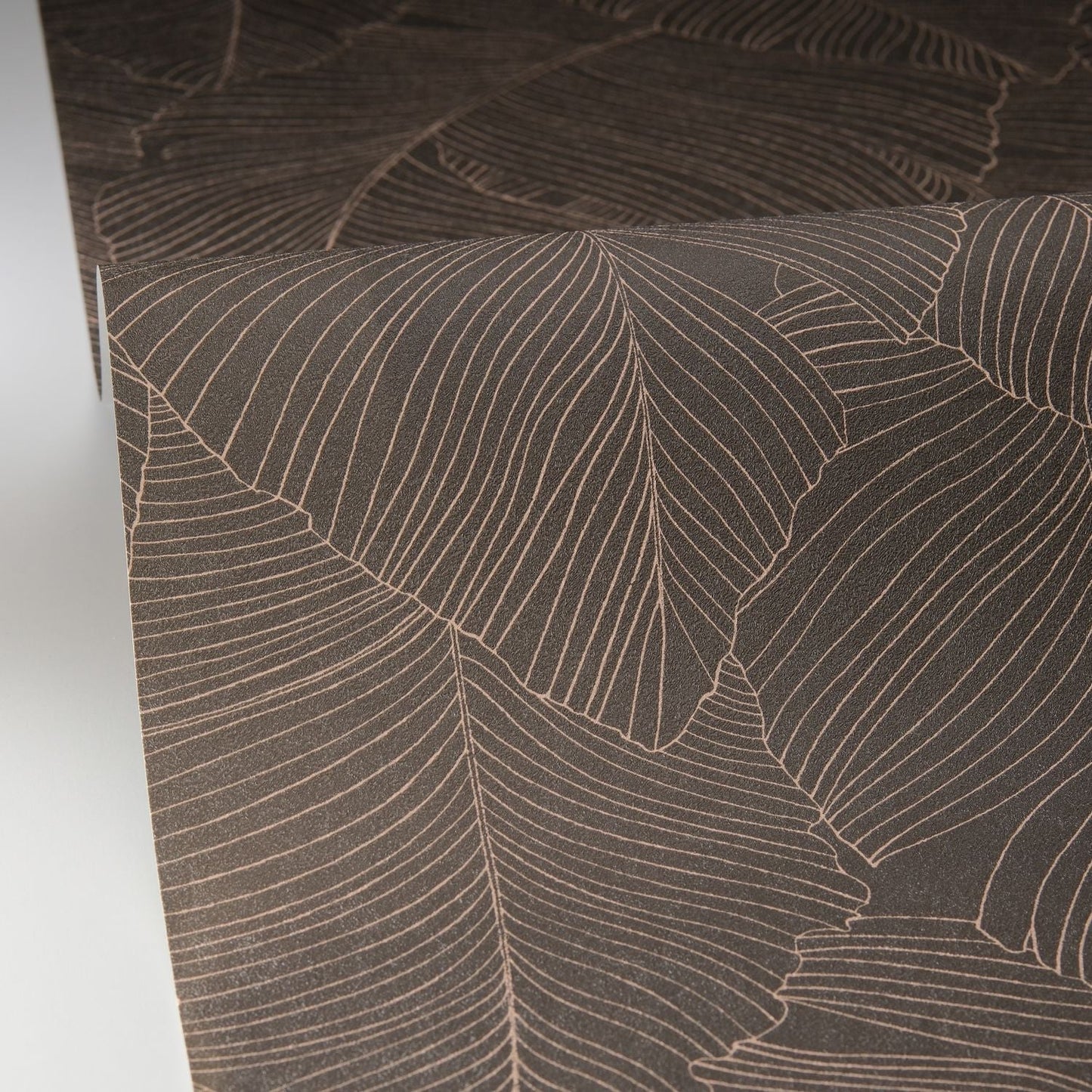 Vegetalia Wallpaper - Noir Sepia - Caselio - 106509027 - Premier Wallcovering