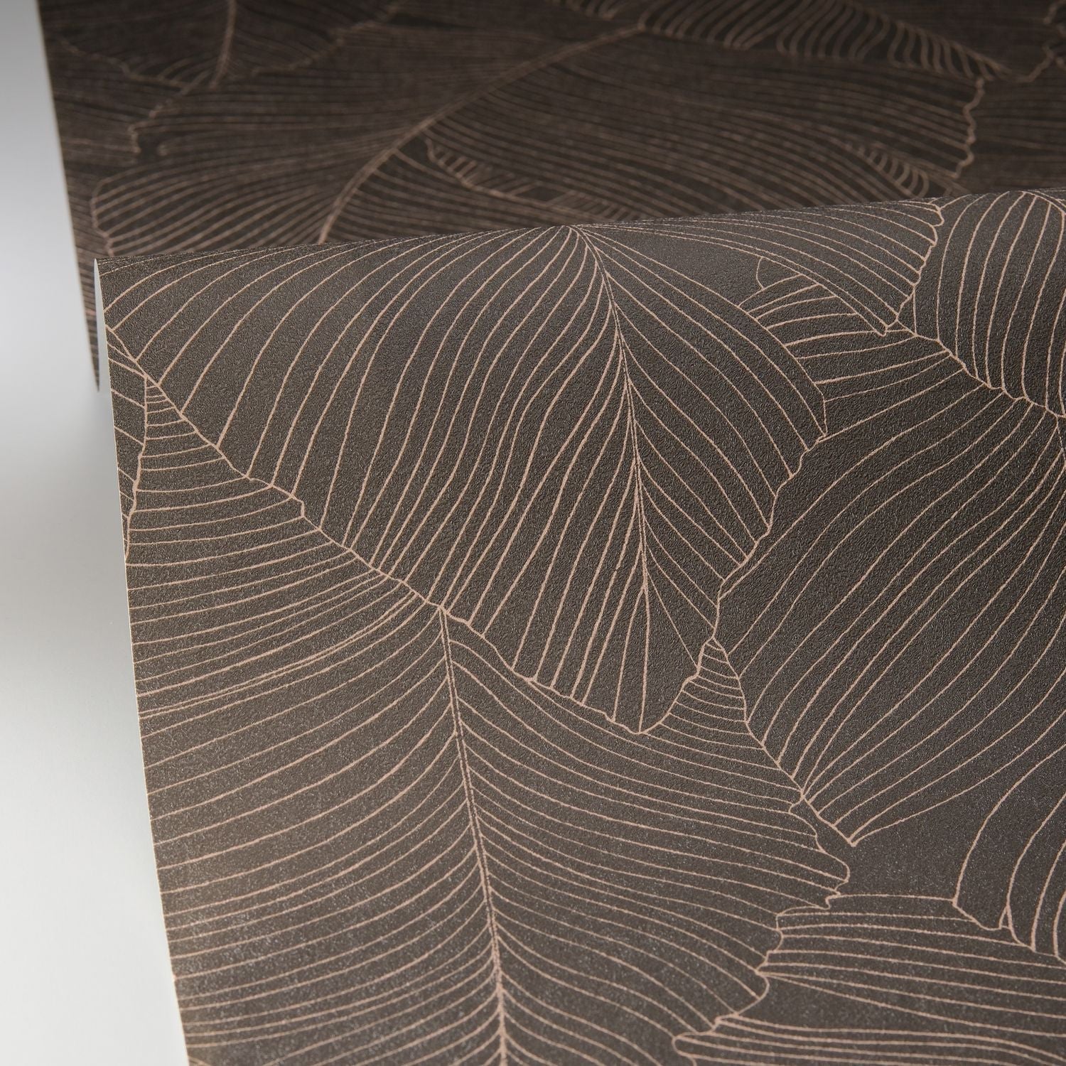 Vegetalia Wallpaper - Noir Sepia - Caselio - 106509027 - Premier Wallcovering