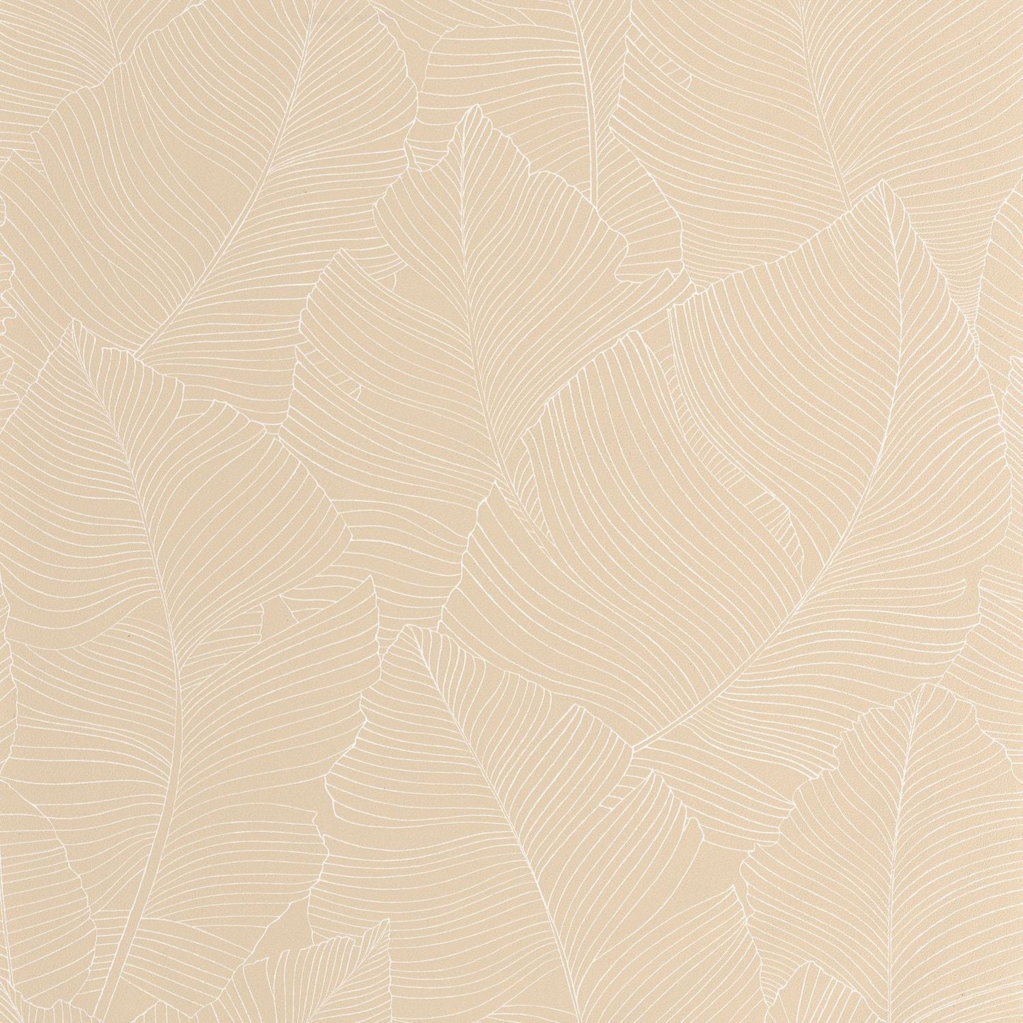 Vegetalia Wallpaper - Blanc Beige - Caselio - 106500010 - Premier Wallcovering
