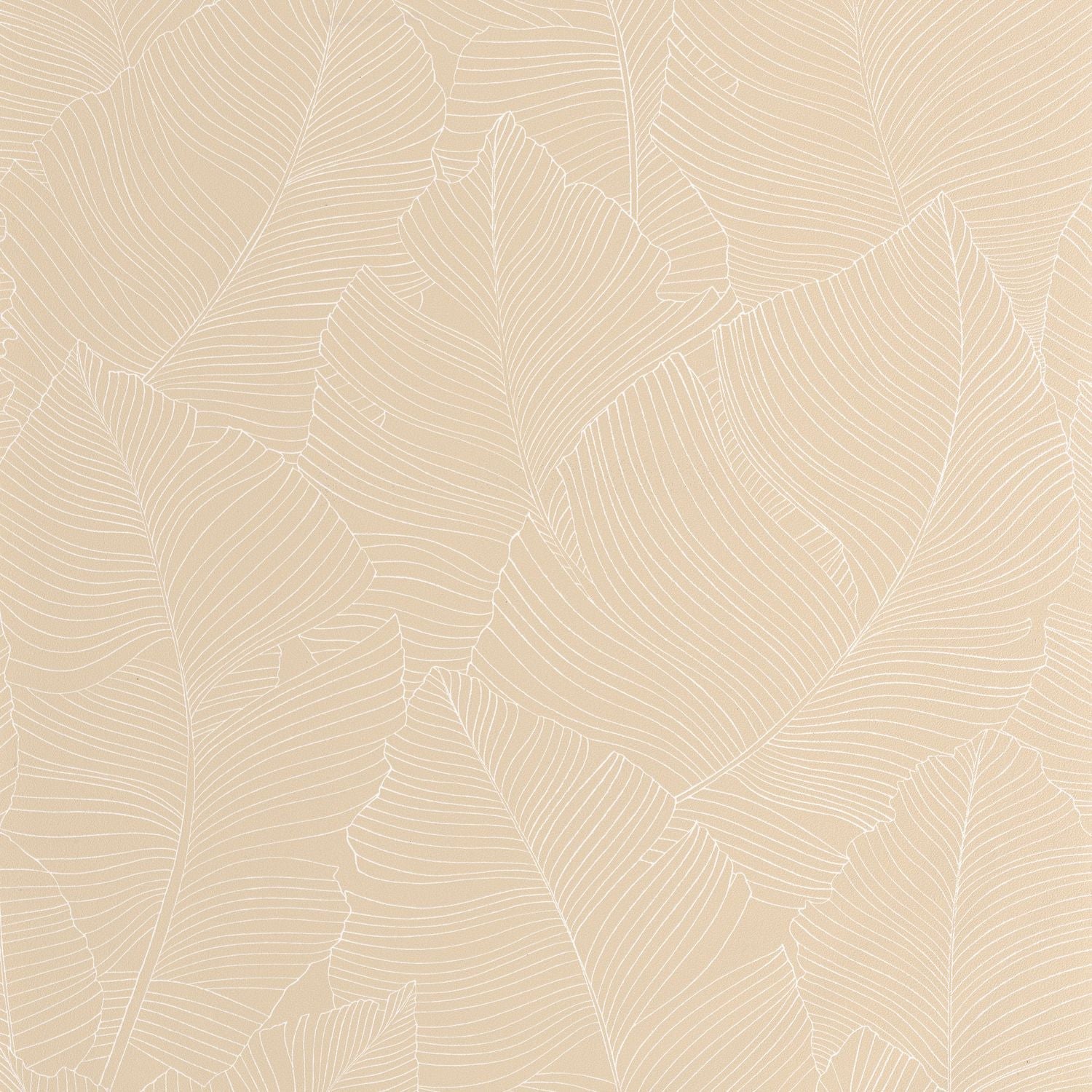 Vegetalia Wallpaper - Blanc Beige - Caselio - 106500010 - Premier Wallcovering