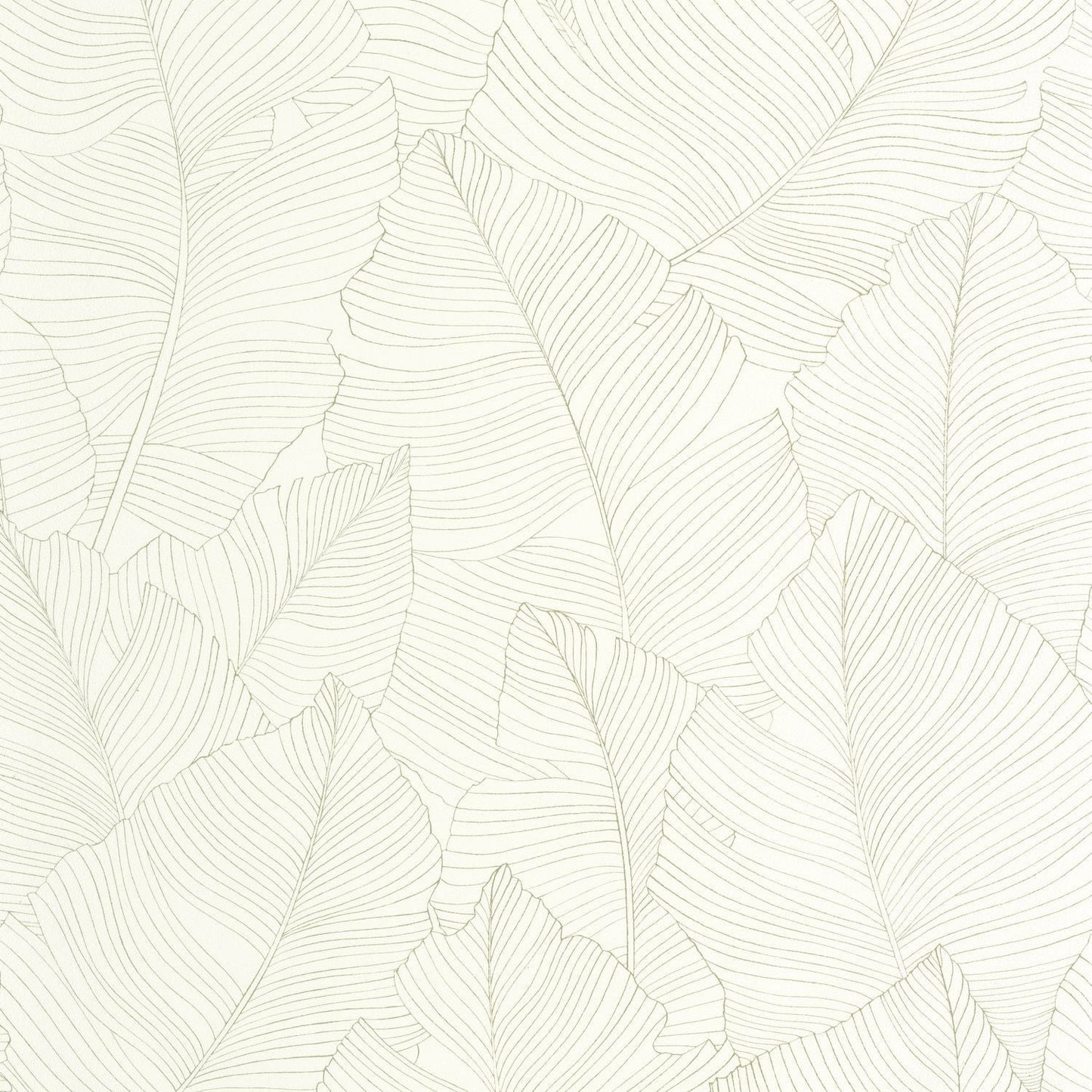 Vegetalia Wallpaper - Amande - Caselio - 106507050 - Premier Wallcovering