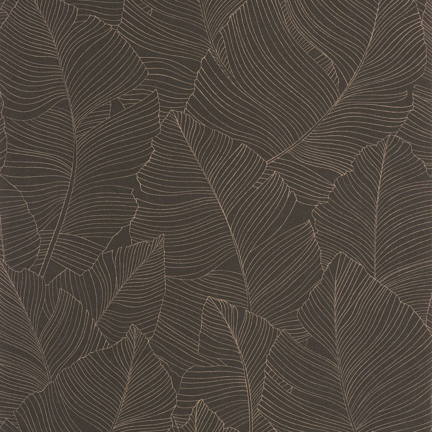Vegetalia Wallpaper - Noir Sepia - Caselio - 106509027 - Premier Wallcovering