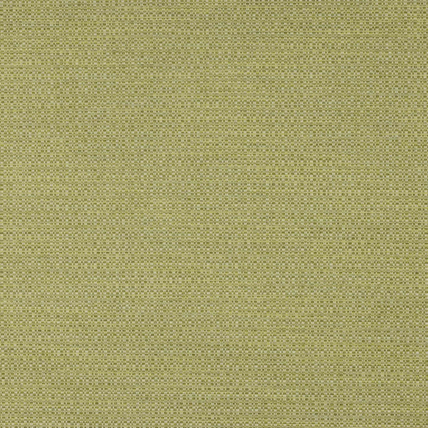 Viggo Fabric - Anis - Manuel Canovas - M4132-12 - Premier Wallcovering