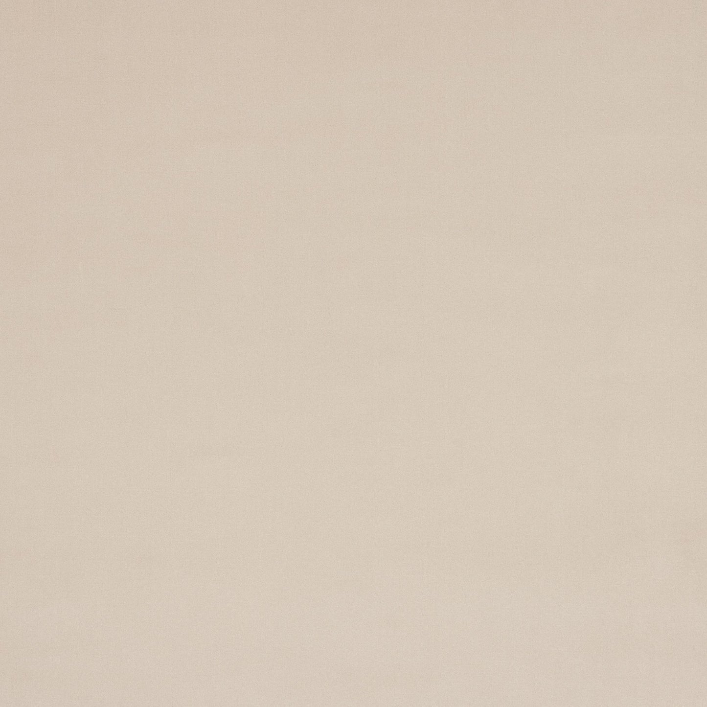 Vito Fabric - Grege - Manuel Canovas - M4160-03 - Premier Wallcovering